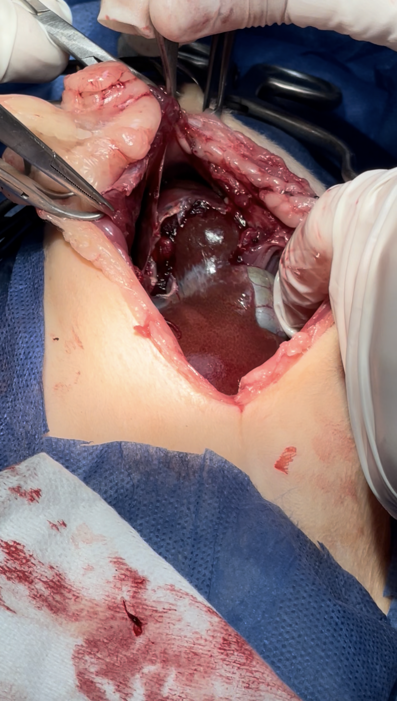 صورة المعرض