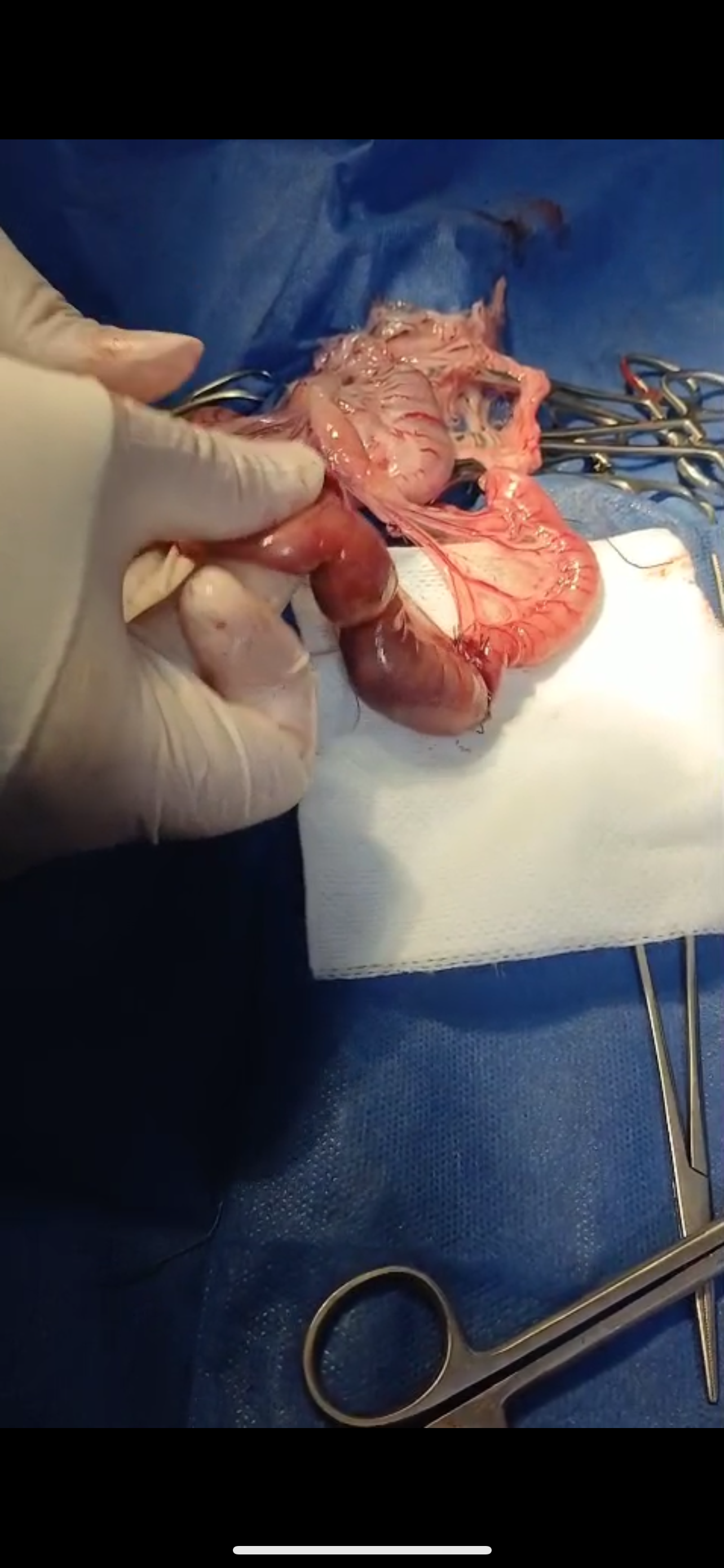 صورة المعرض