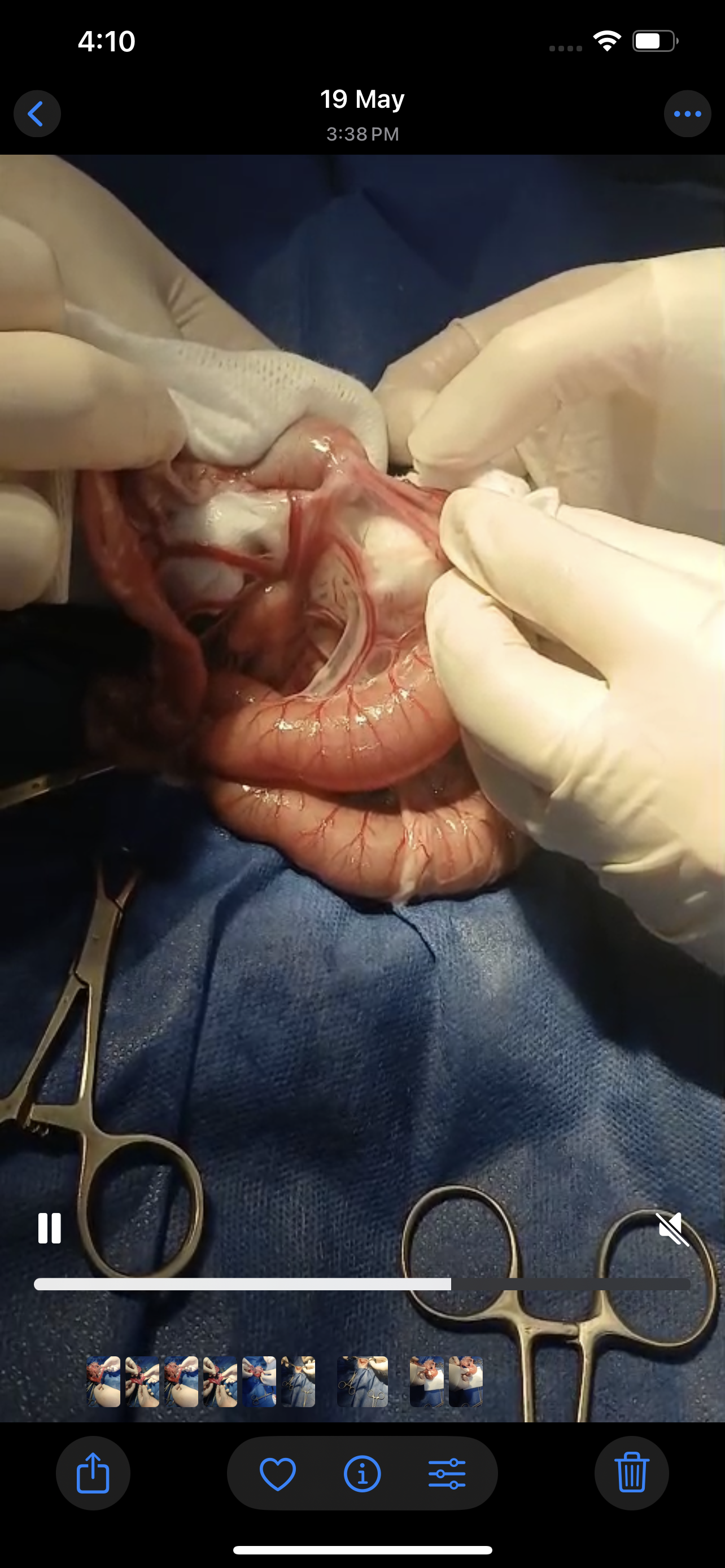 صورة المعرض