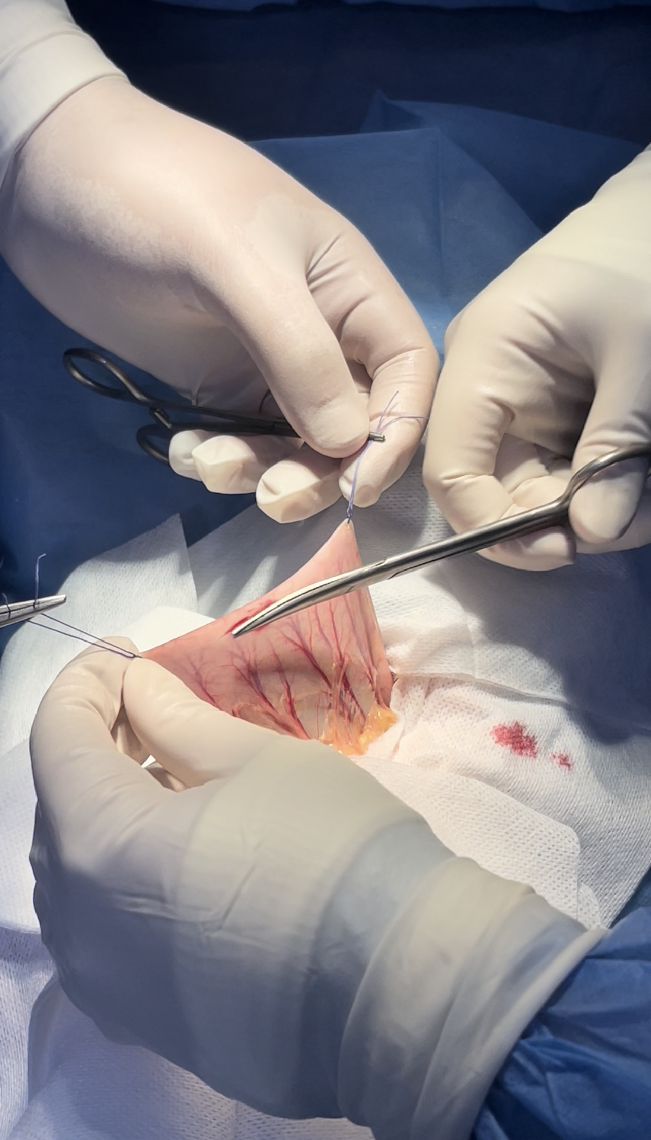 صورة المعرض