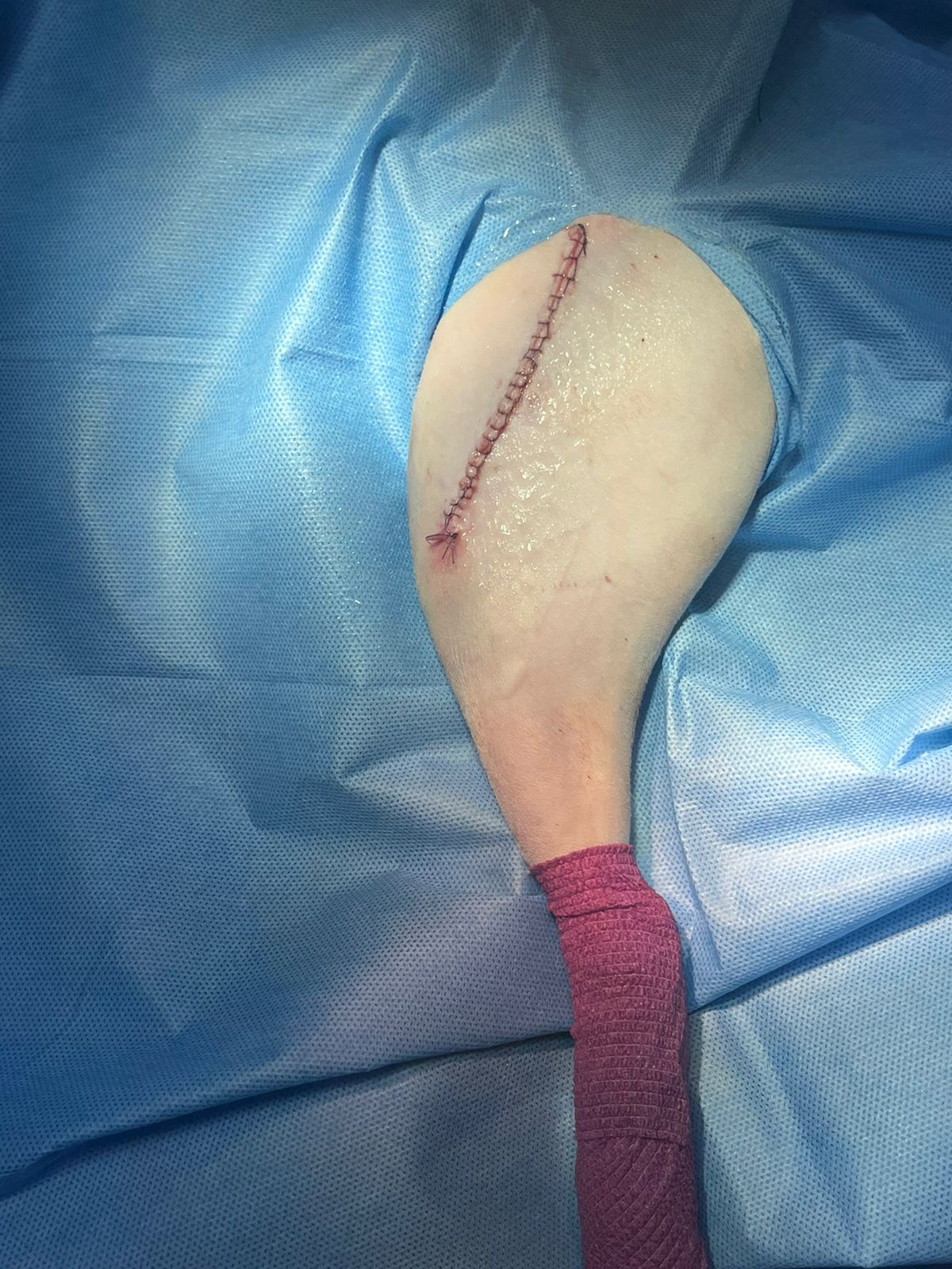 صورة المعرض