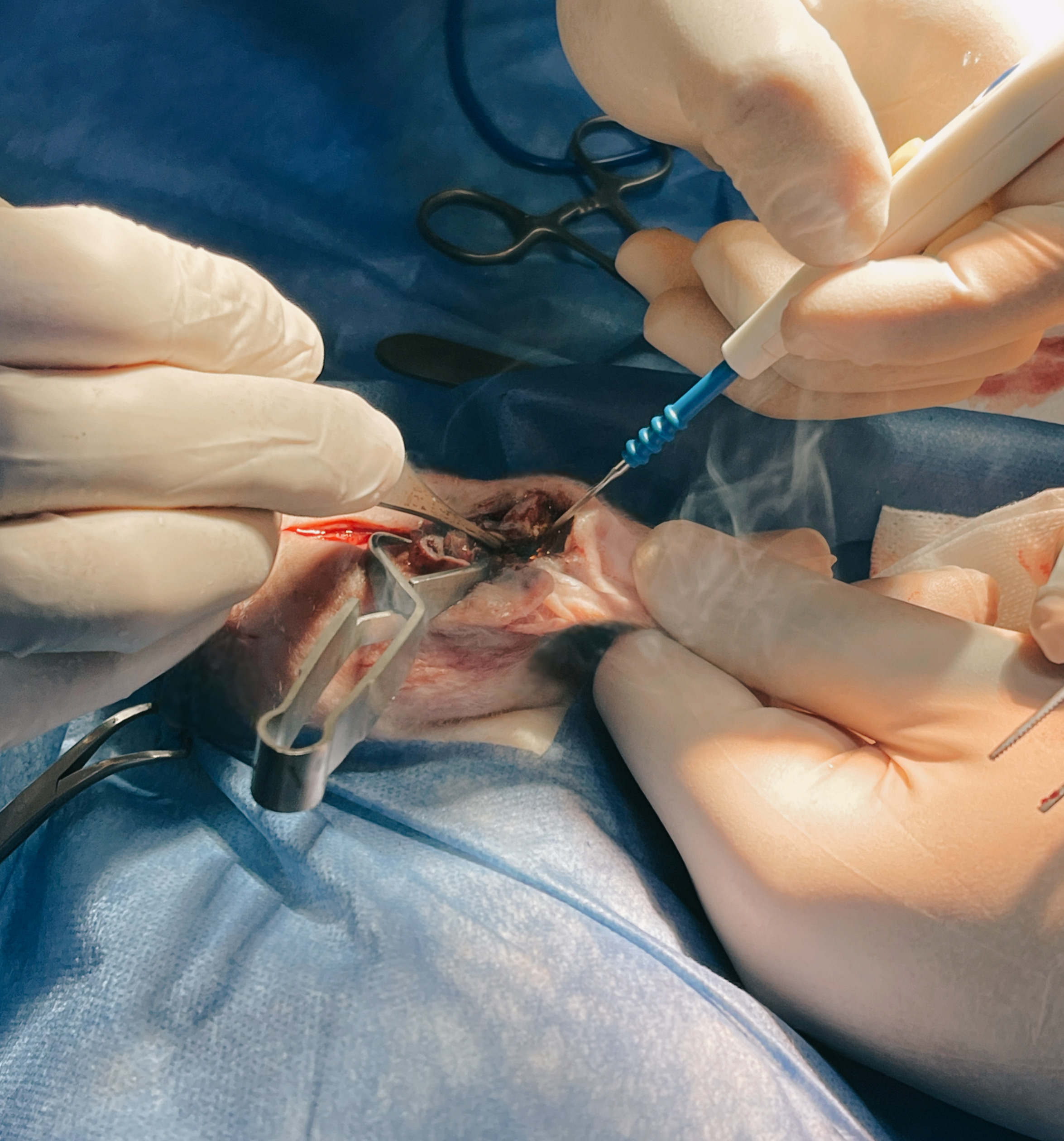 صورة المعرض