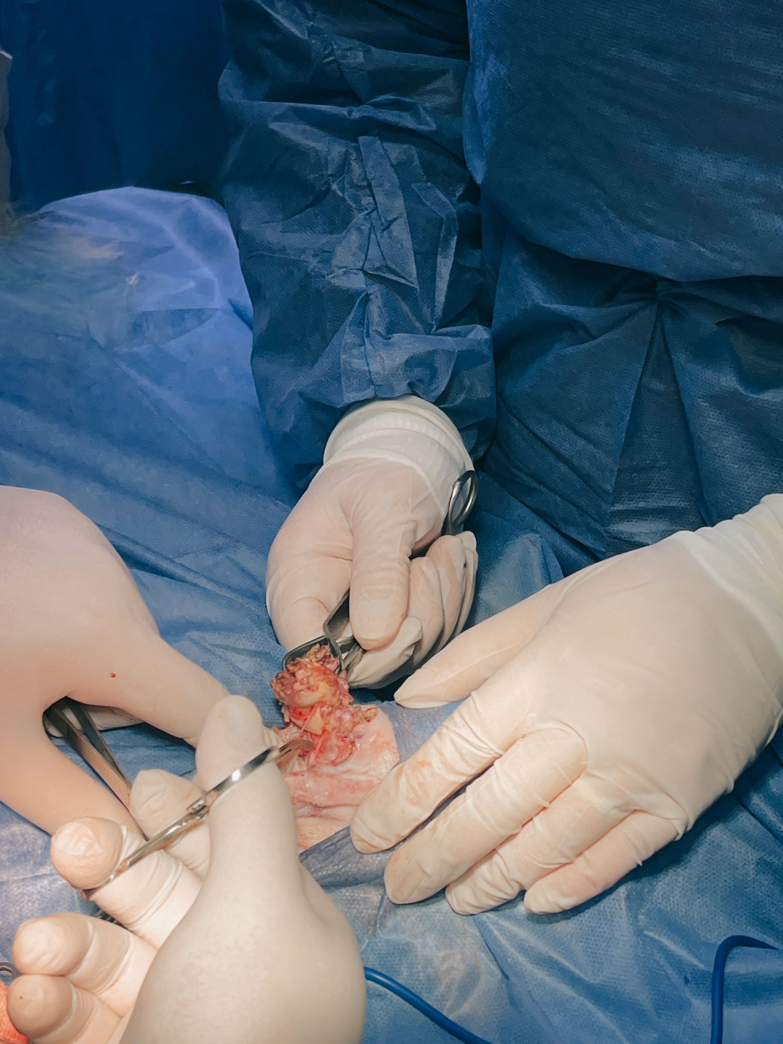 صورة المعرض