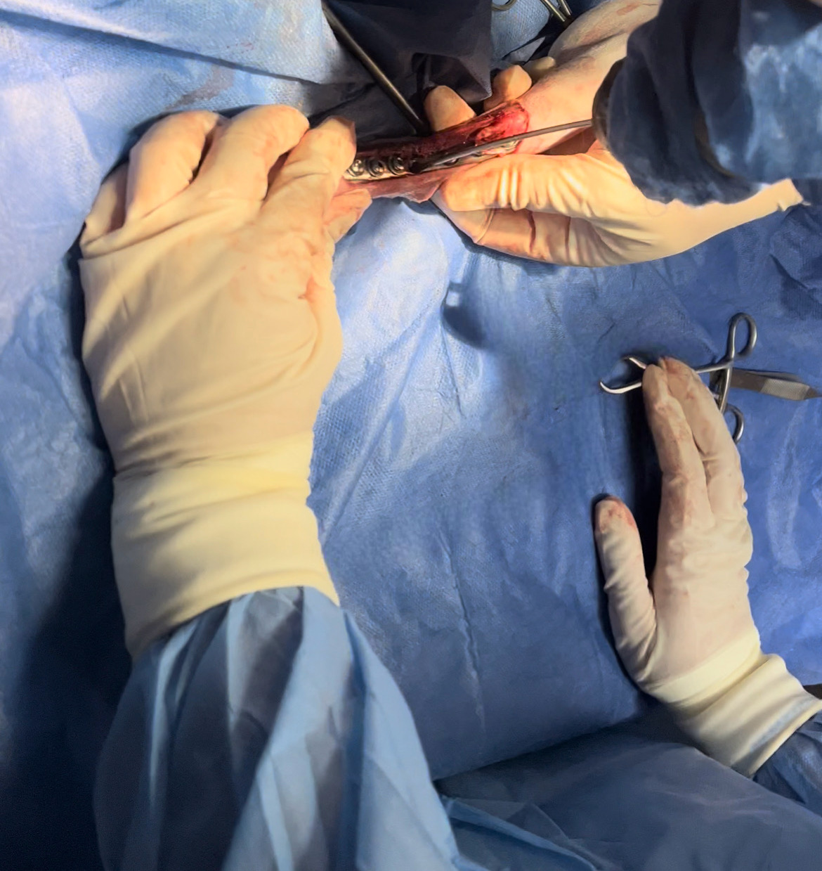 صورة المعرض