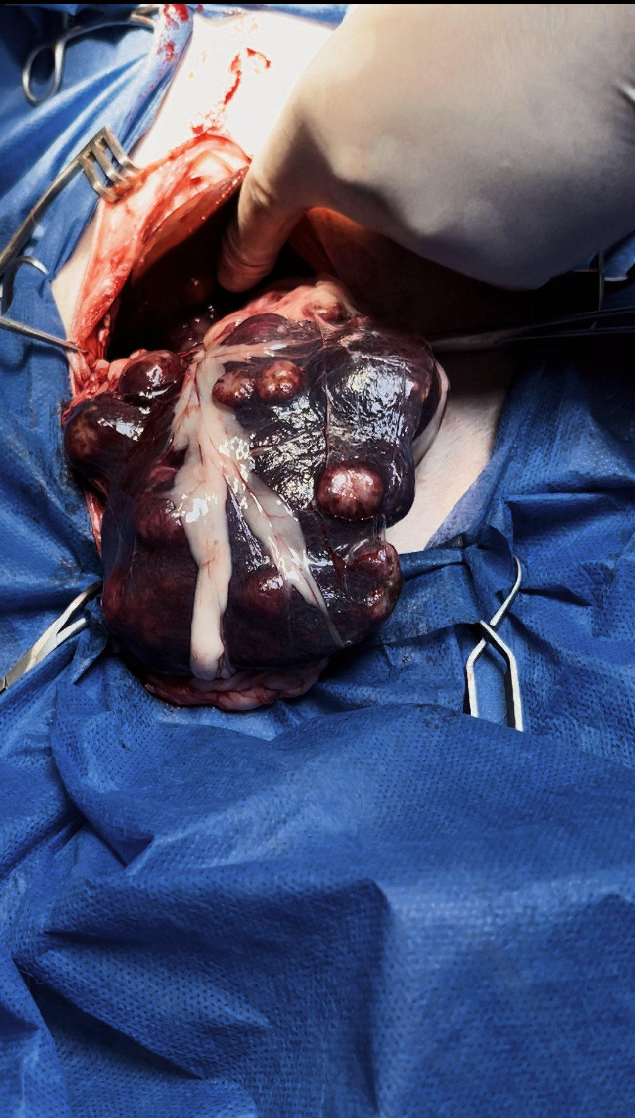 صورة المعرض