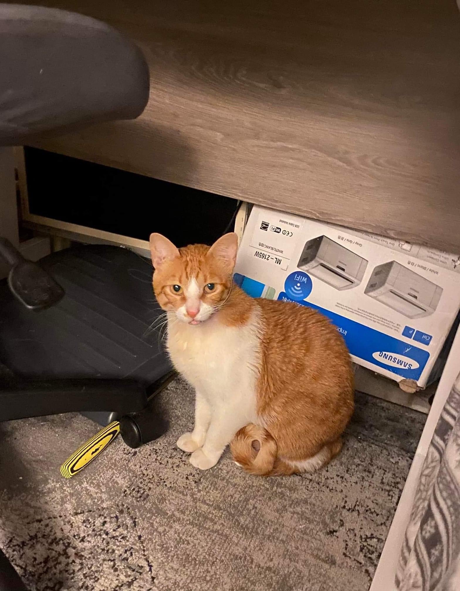 صورة المعرض