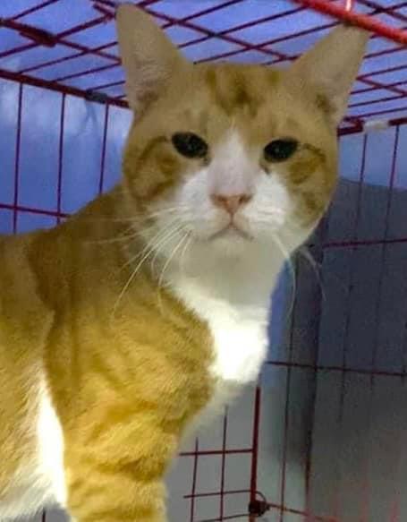 صورة المعرض