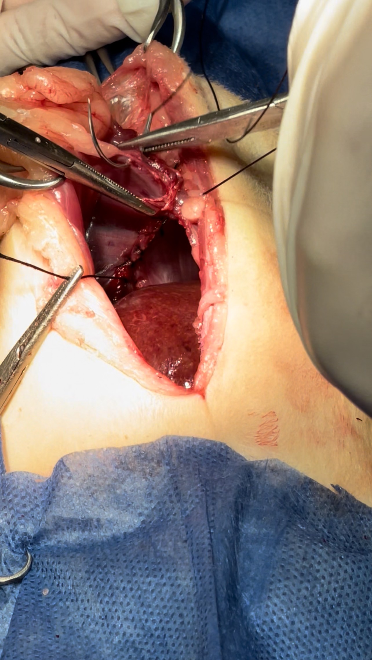 صورة المعرض