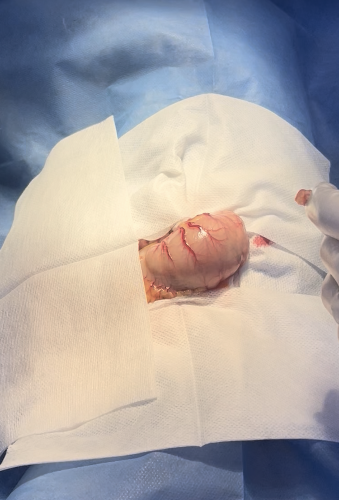 صورة المعرض