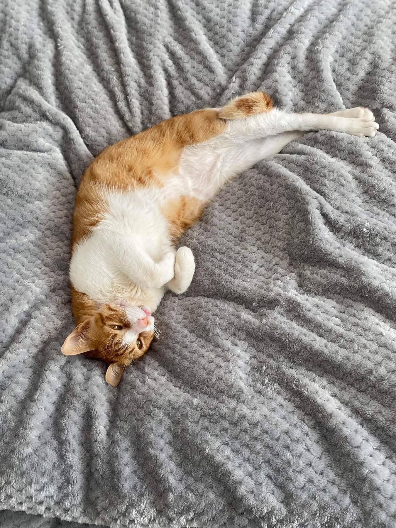 صورة المعرض