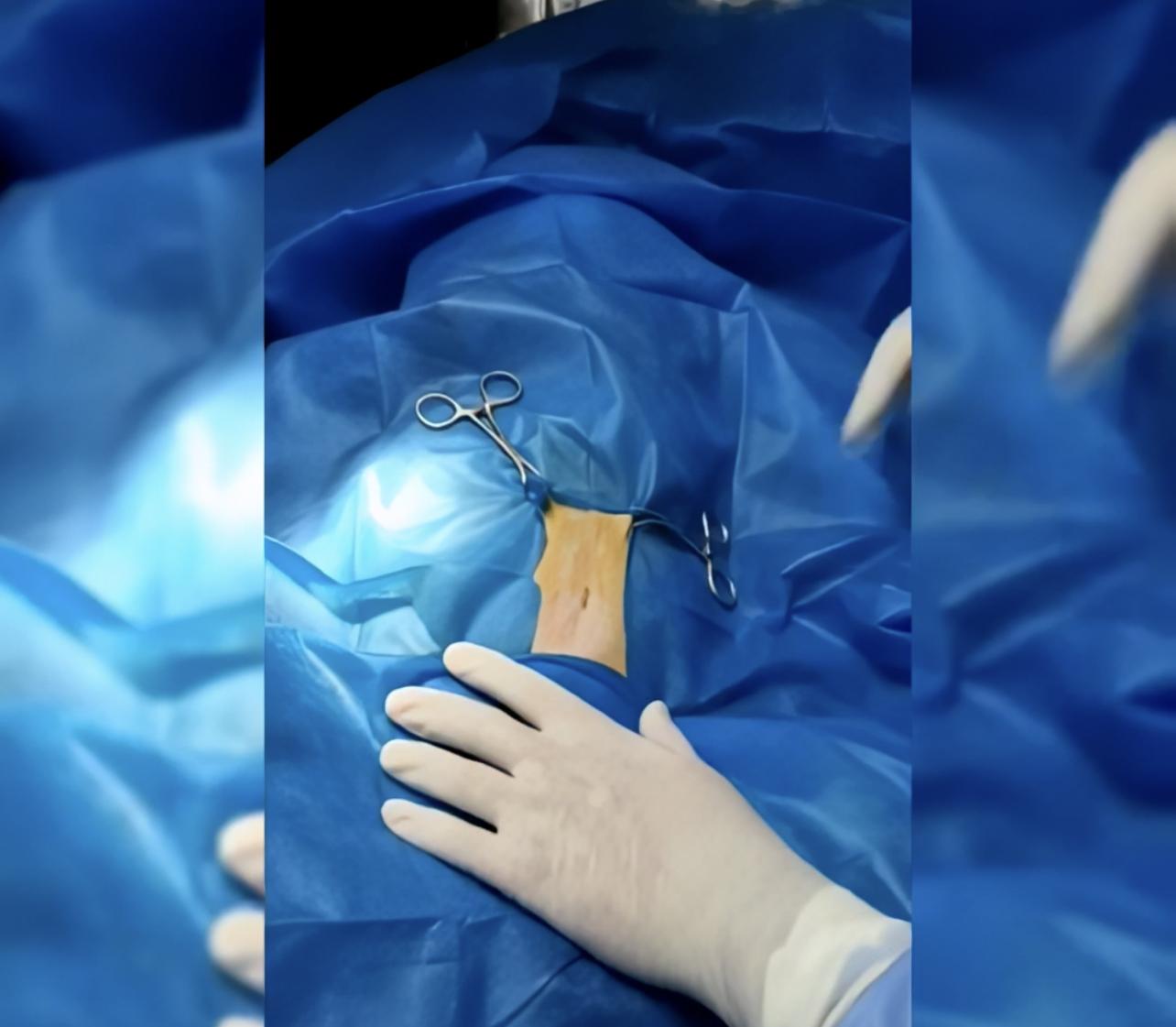 صورة المعرض