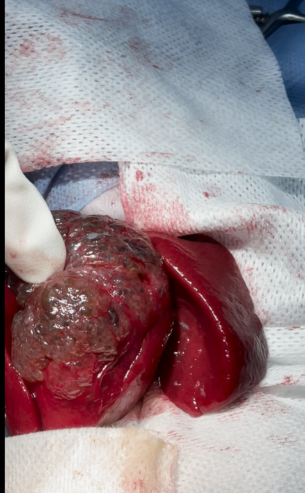 صورة المعرض