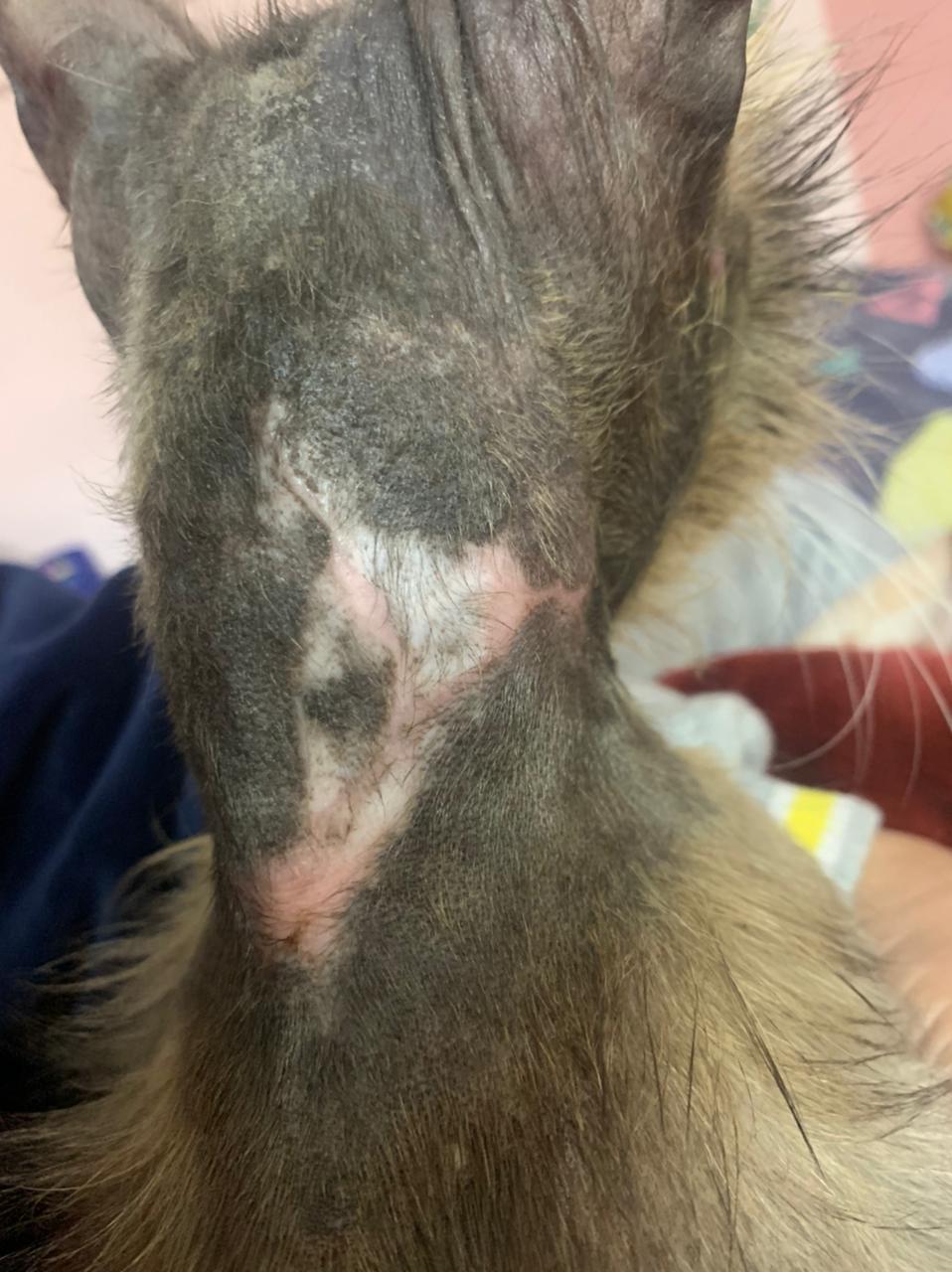 صورة المعرض