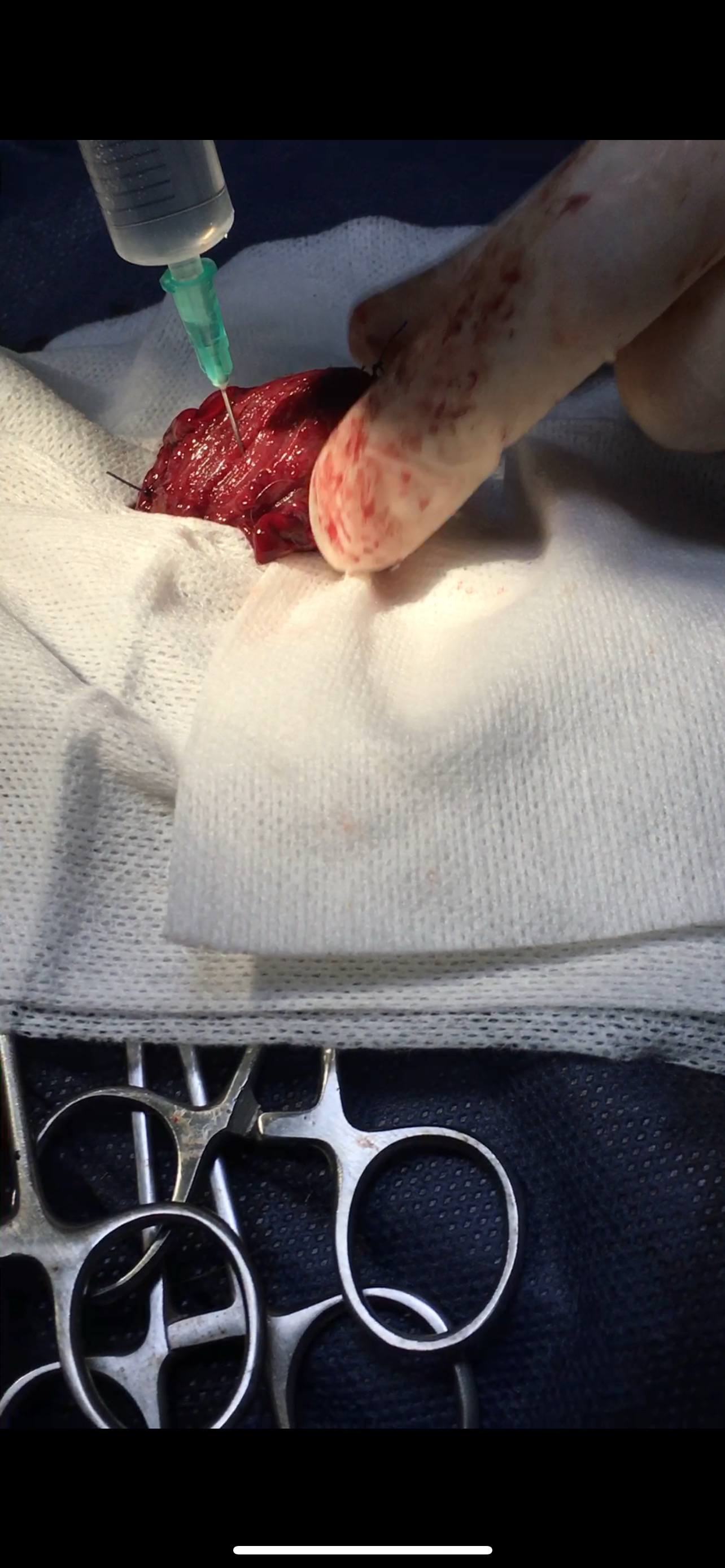 صورة المعرض