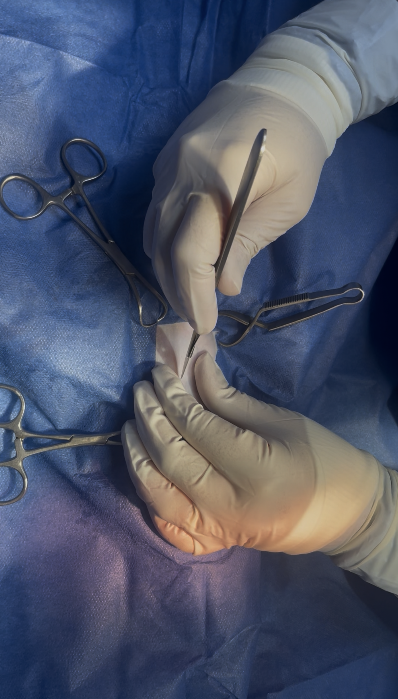 صورة المعرض