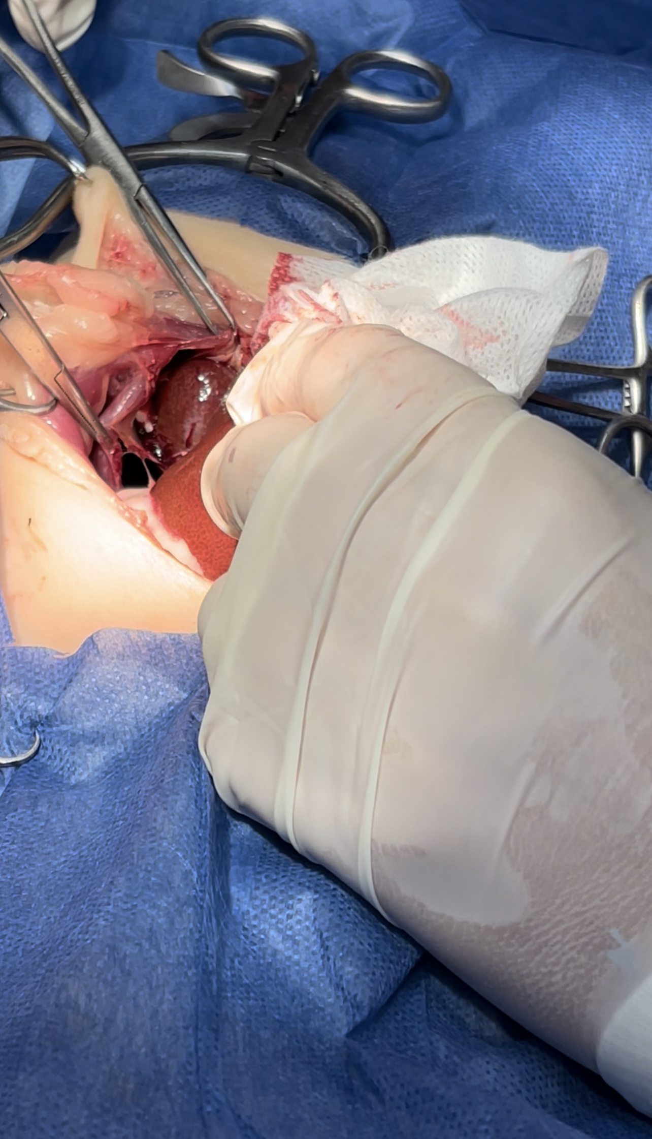 صورة المعرض