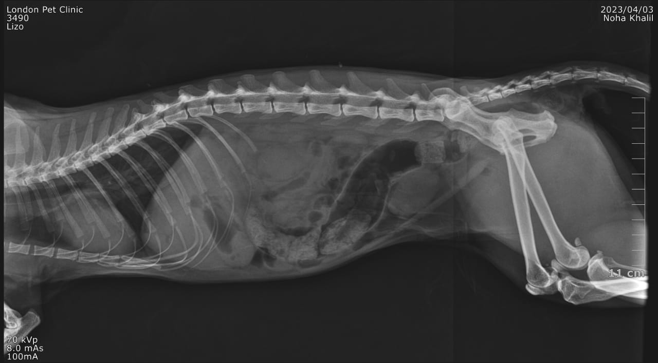 صورة المعرض