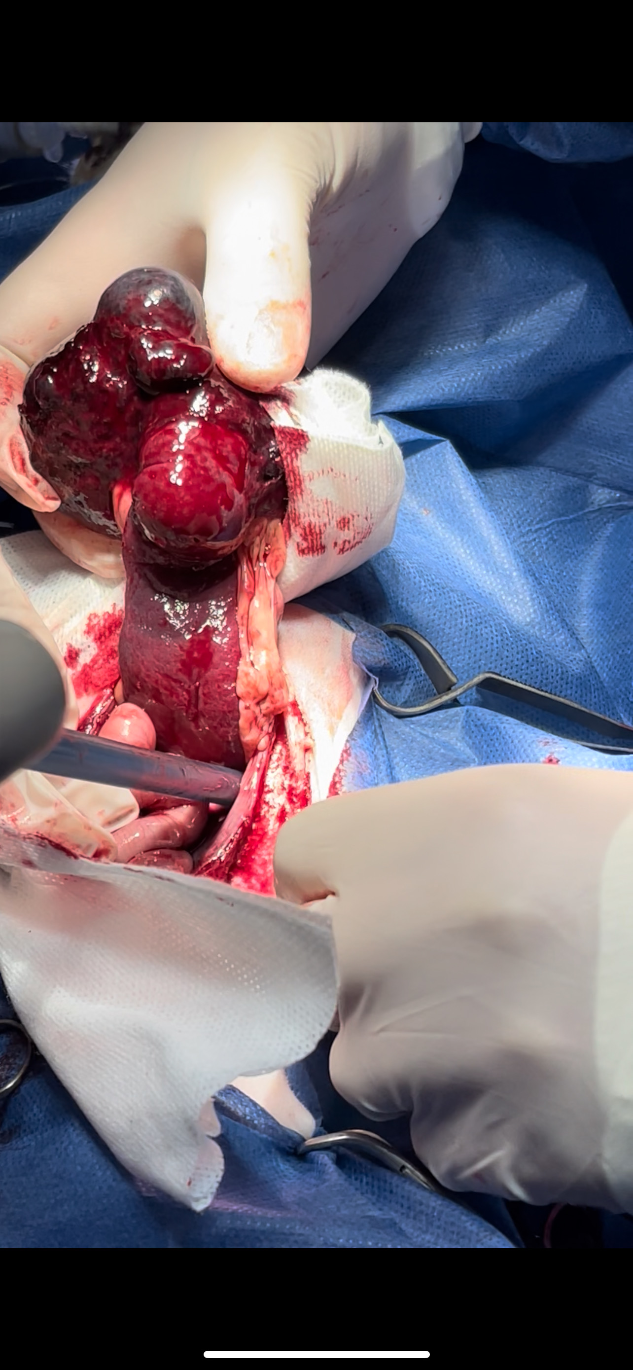 صورة المعرض