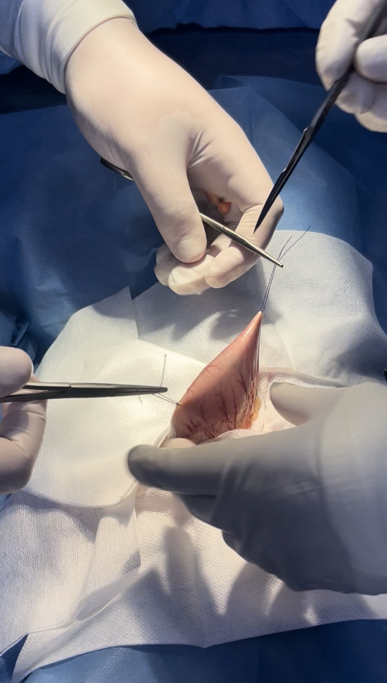 صورة المعرض