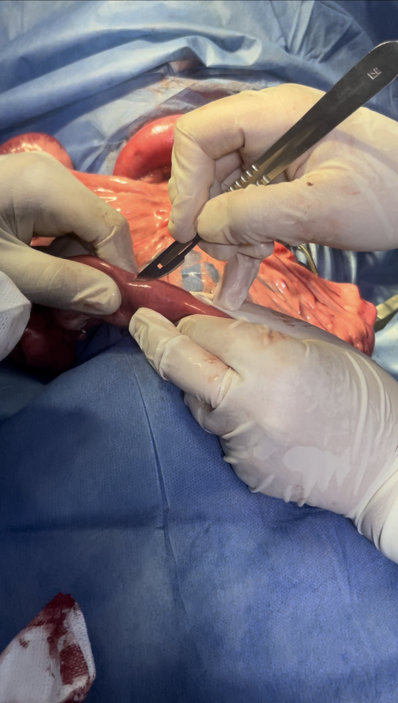 صورة المعرض