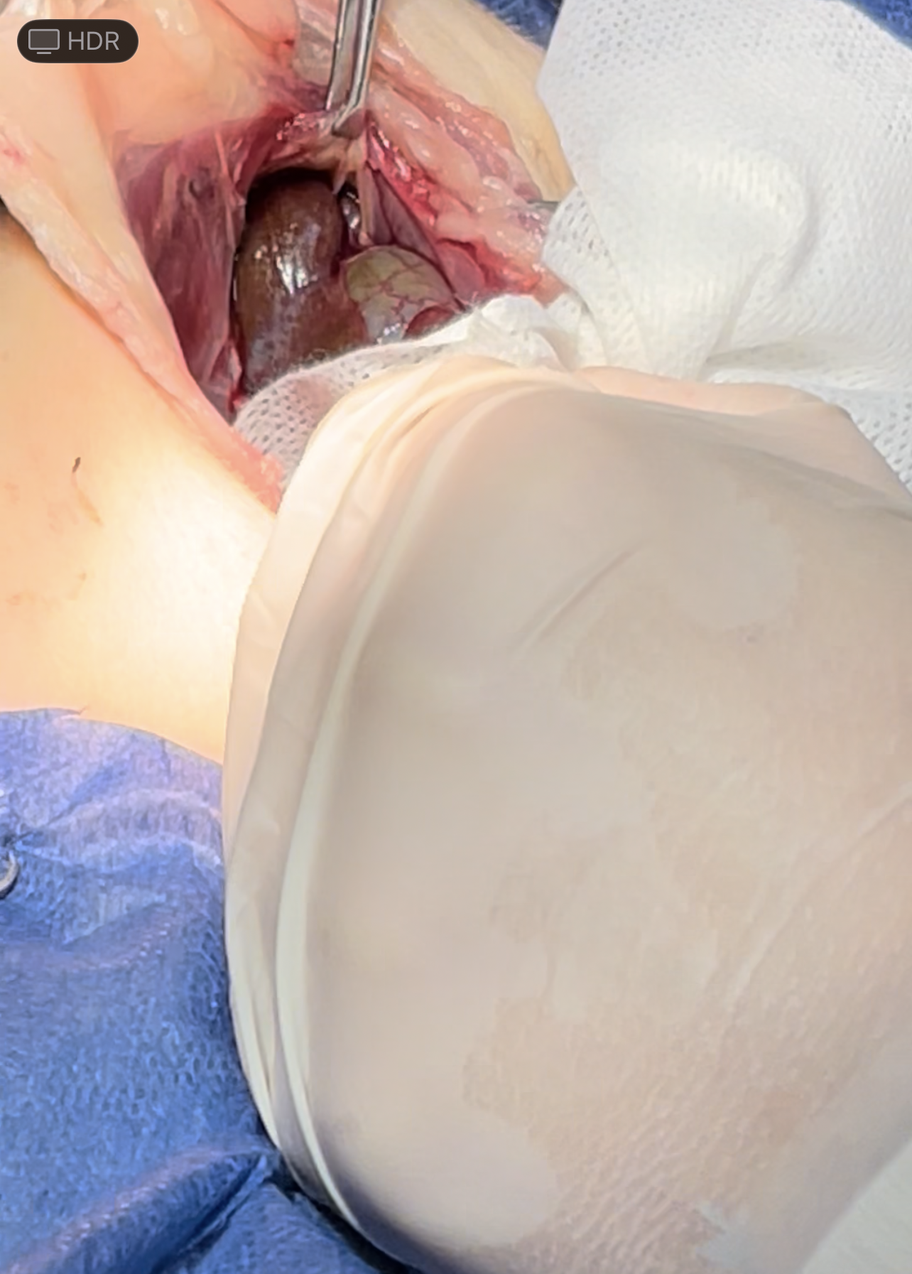 صورة المعرض