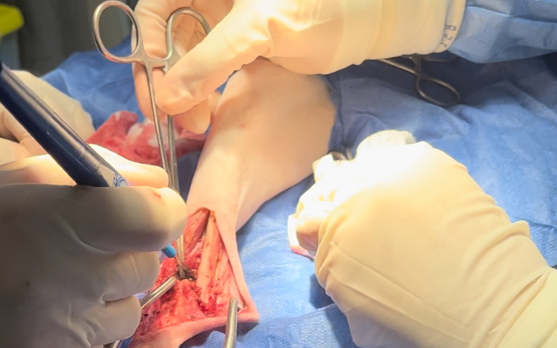 صورة المعرض