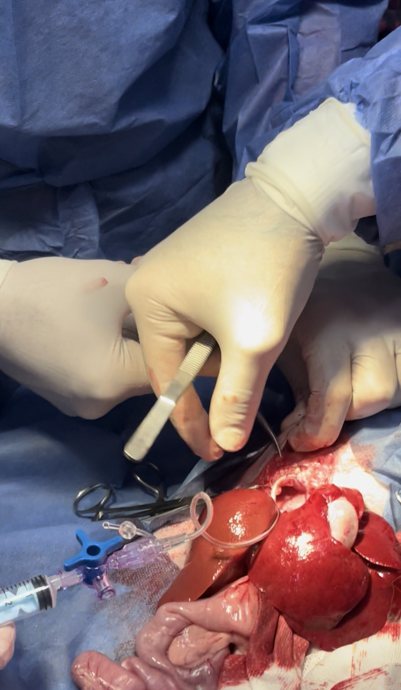 صورة المعرض