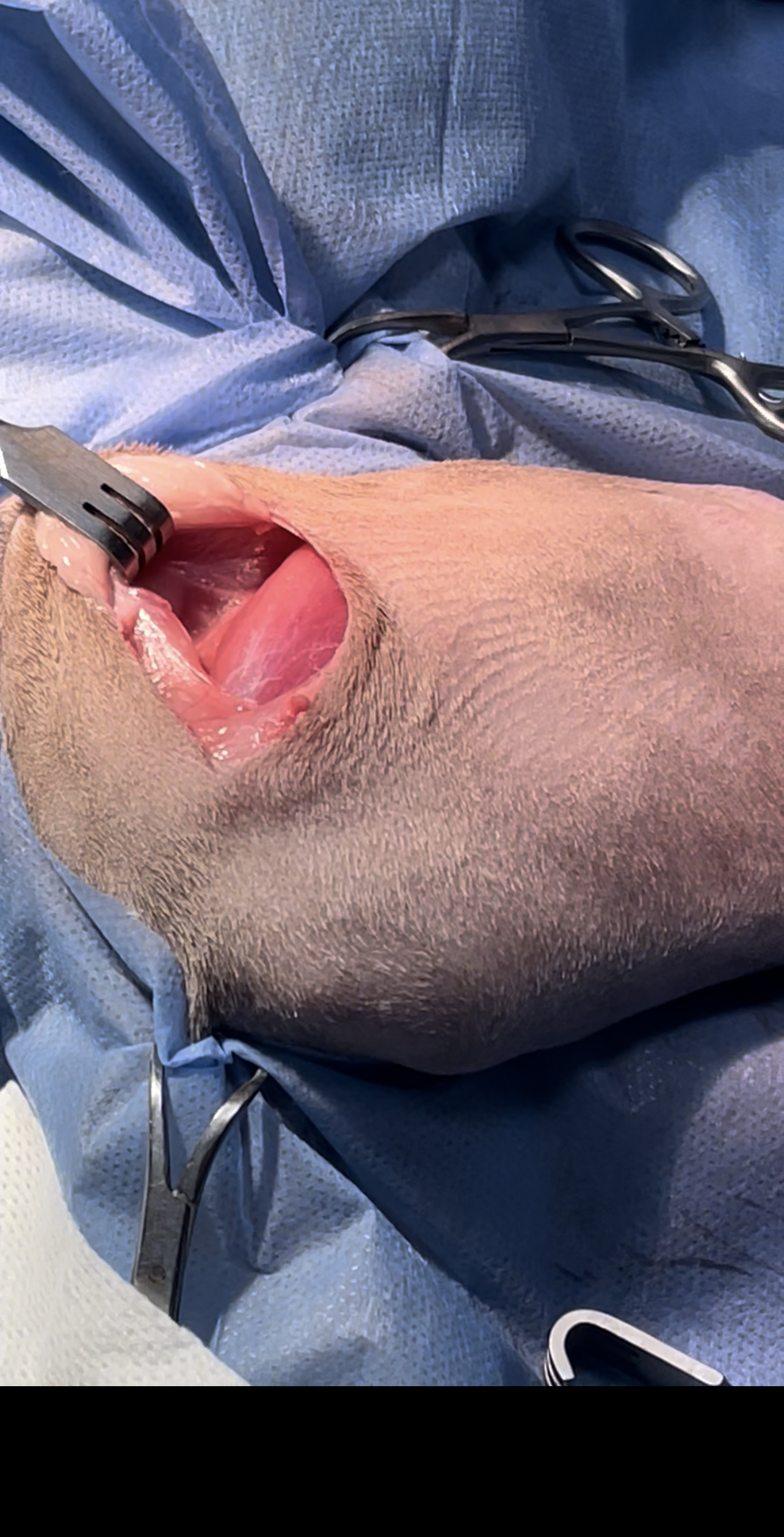 صورة المعرض