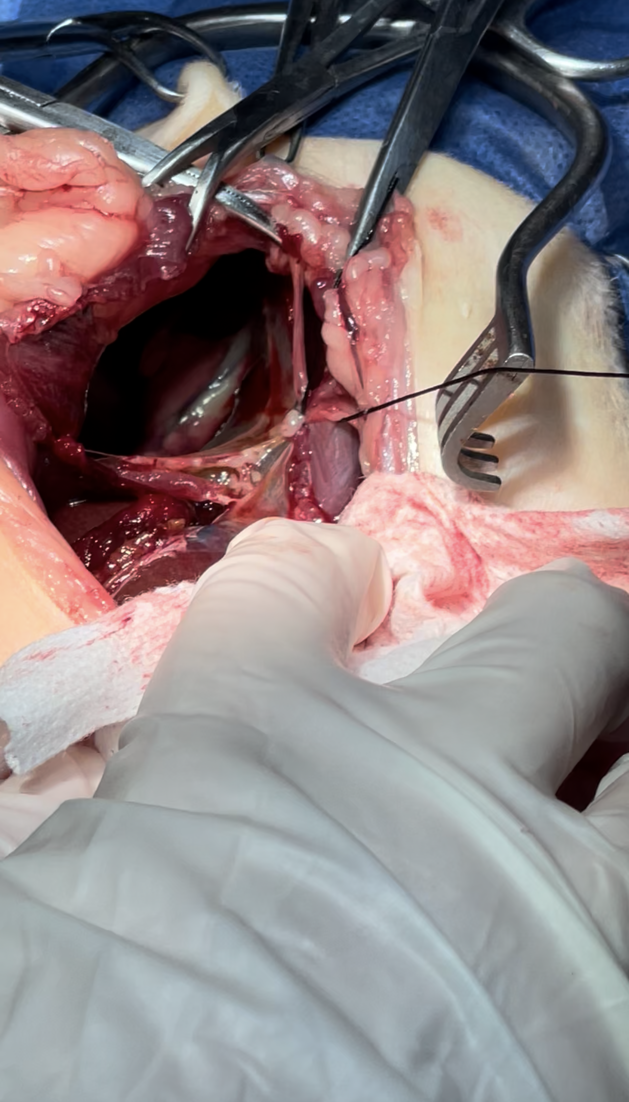 صورة المعرض