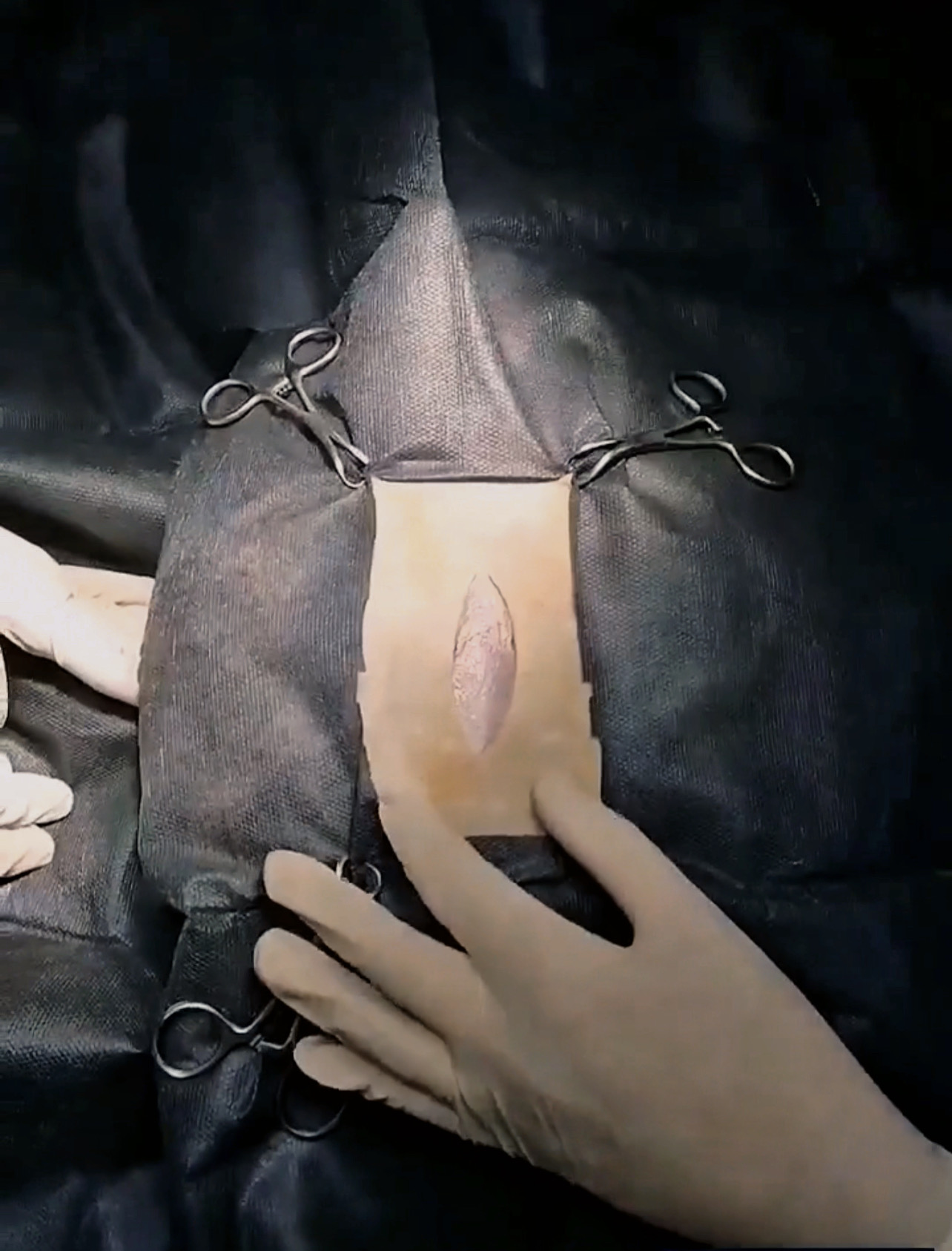 صورة المعرض