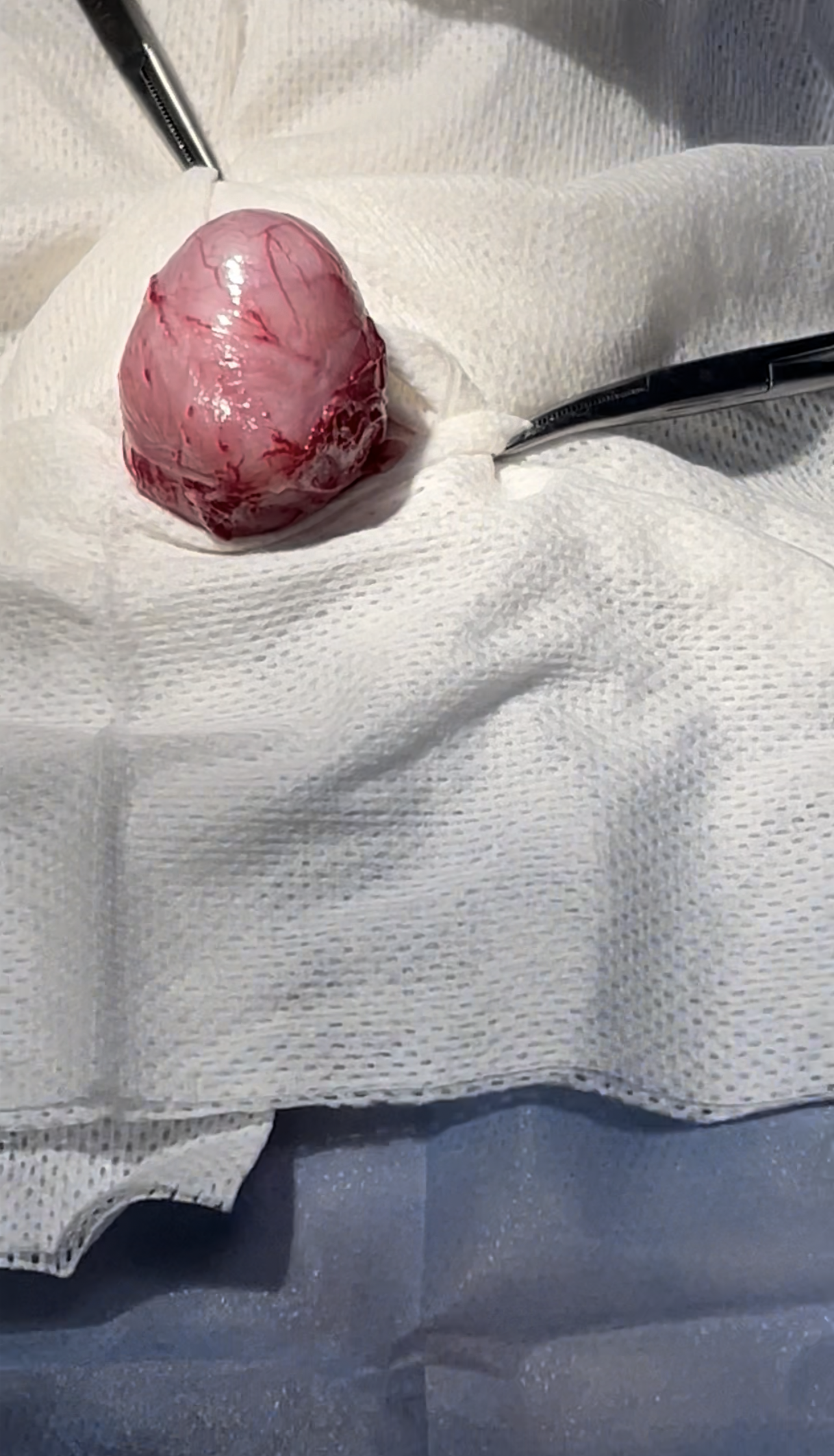 صورة المعرض