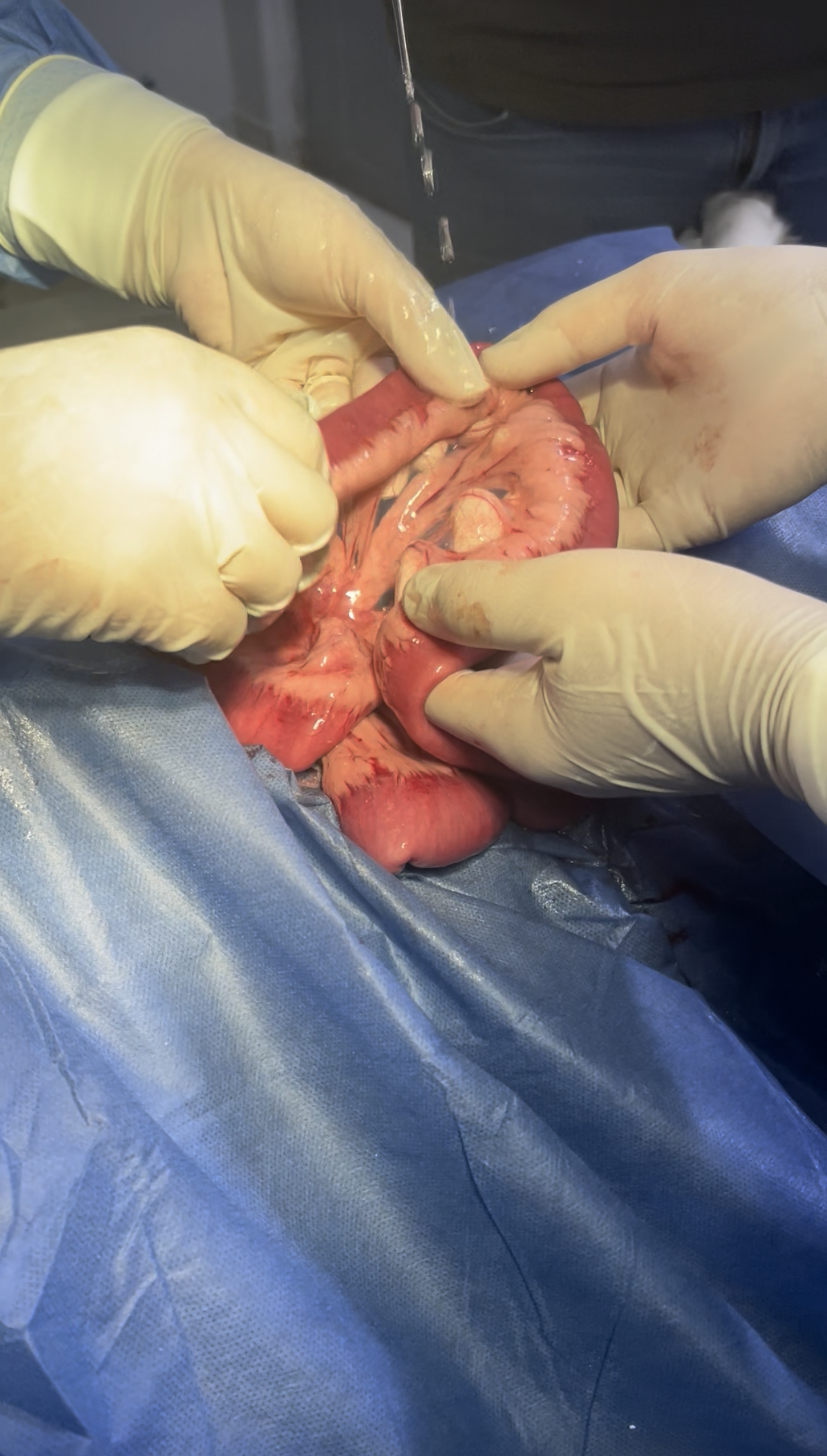 صورة المعرض