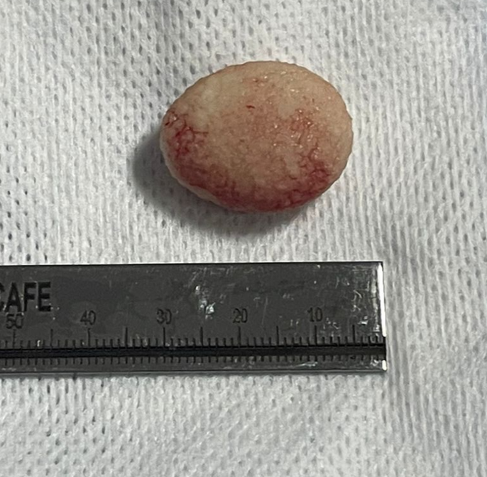 صورة المعرض