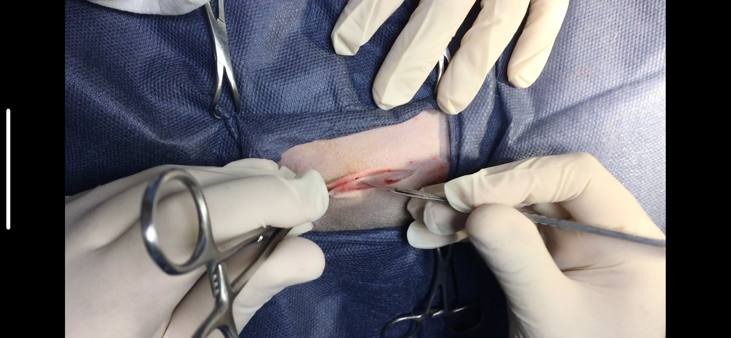 صورة المعرض