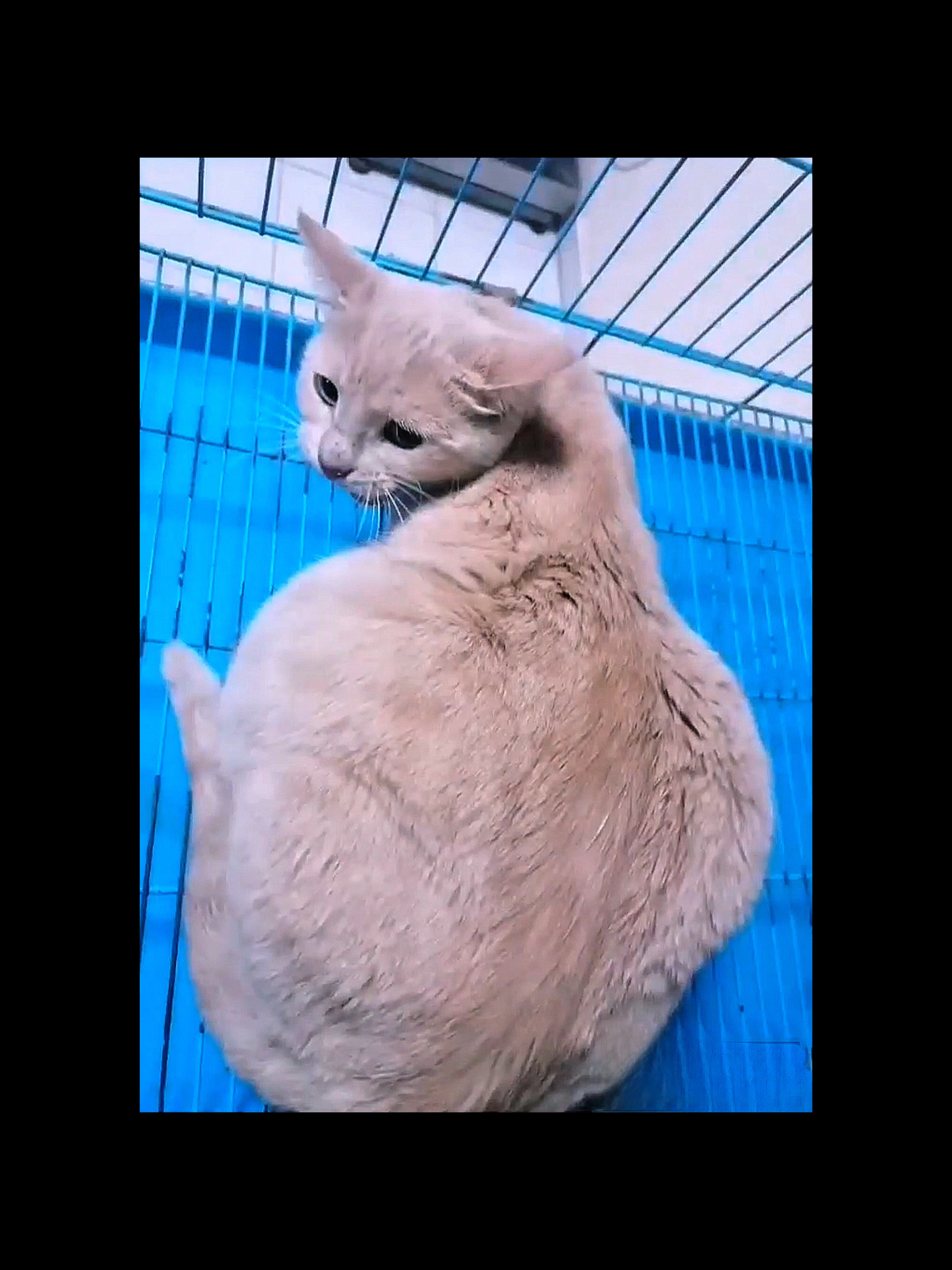 صورة المعرض