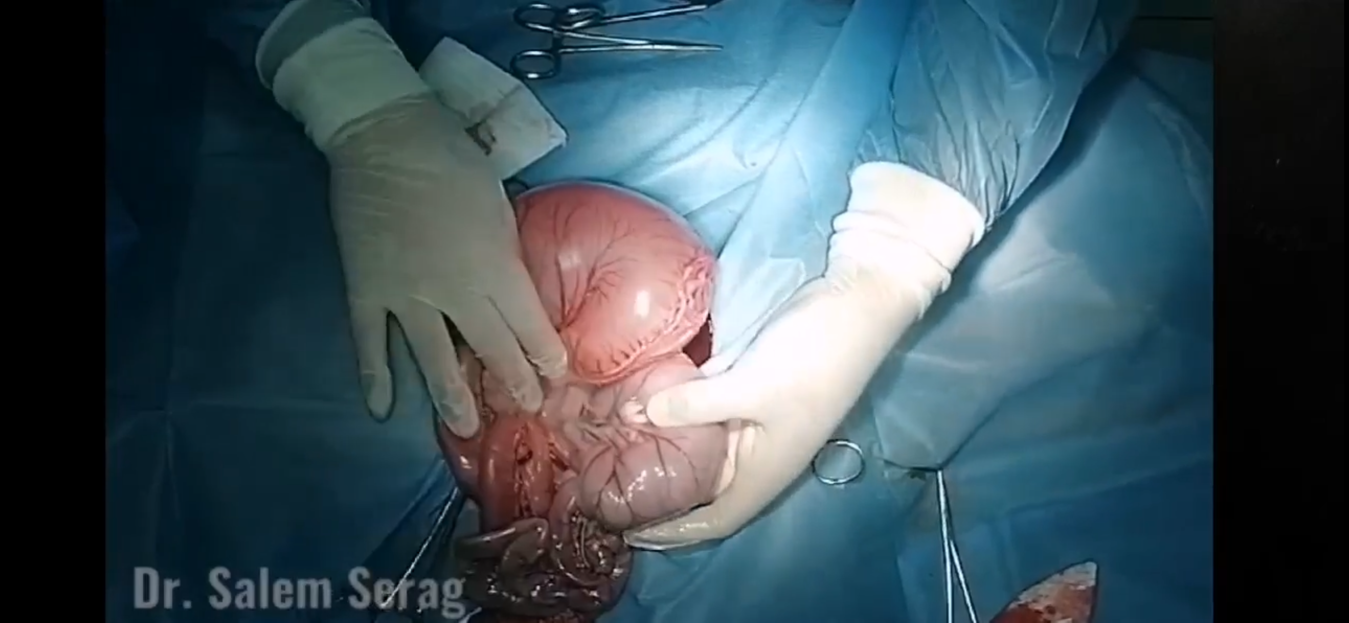 صورة المعرض