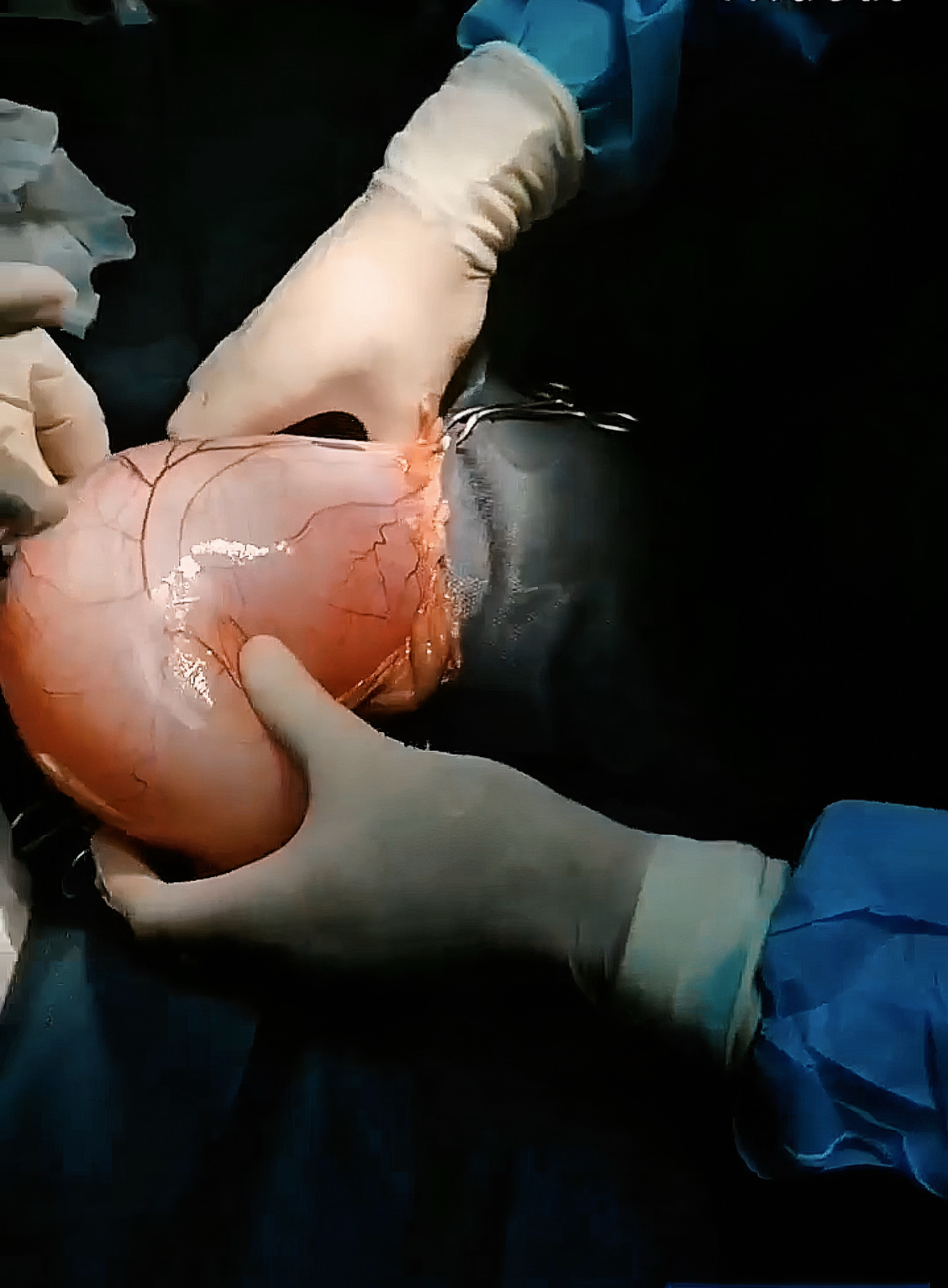 صورة المعرض