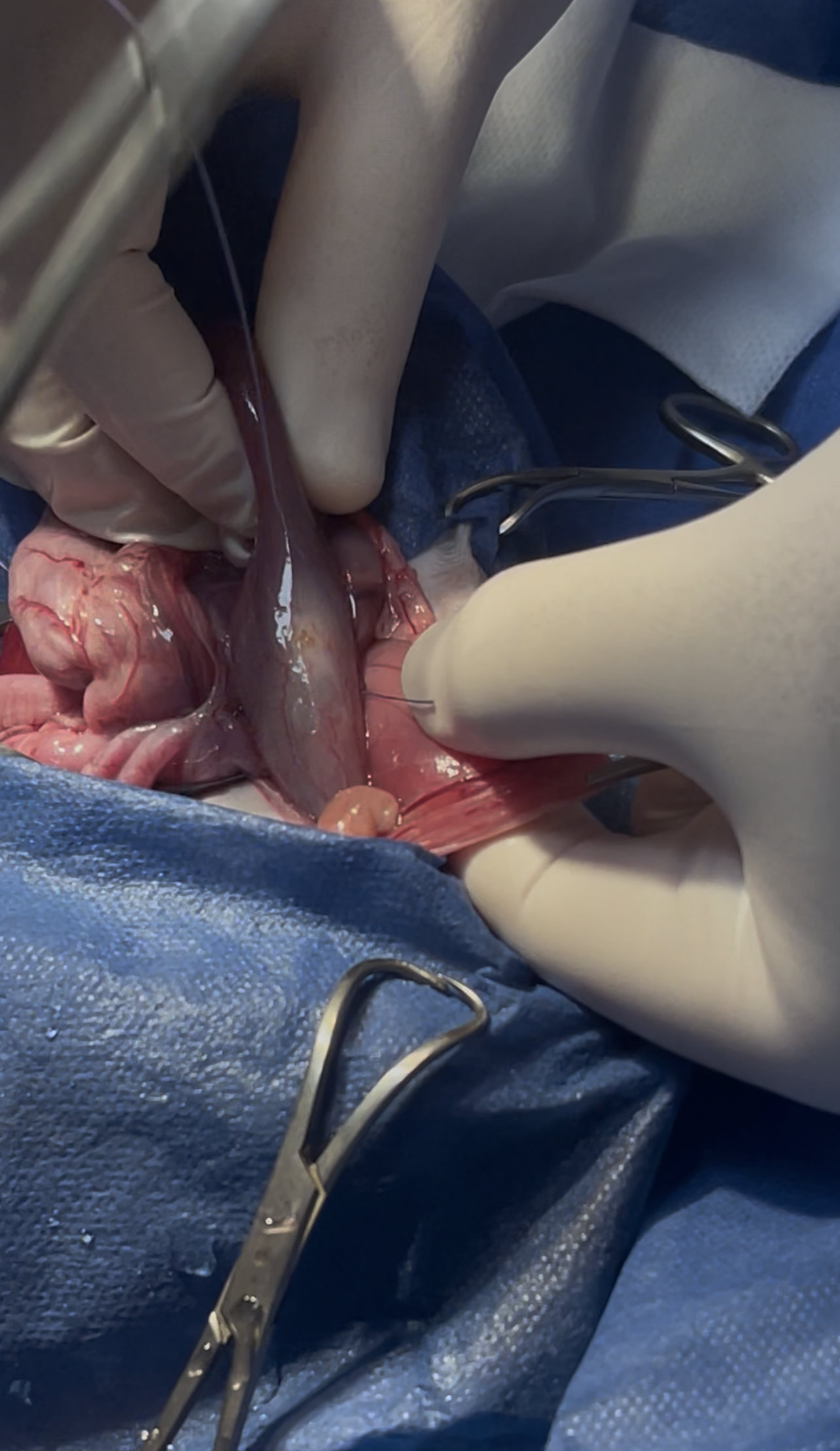 صورة المعرض