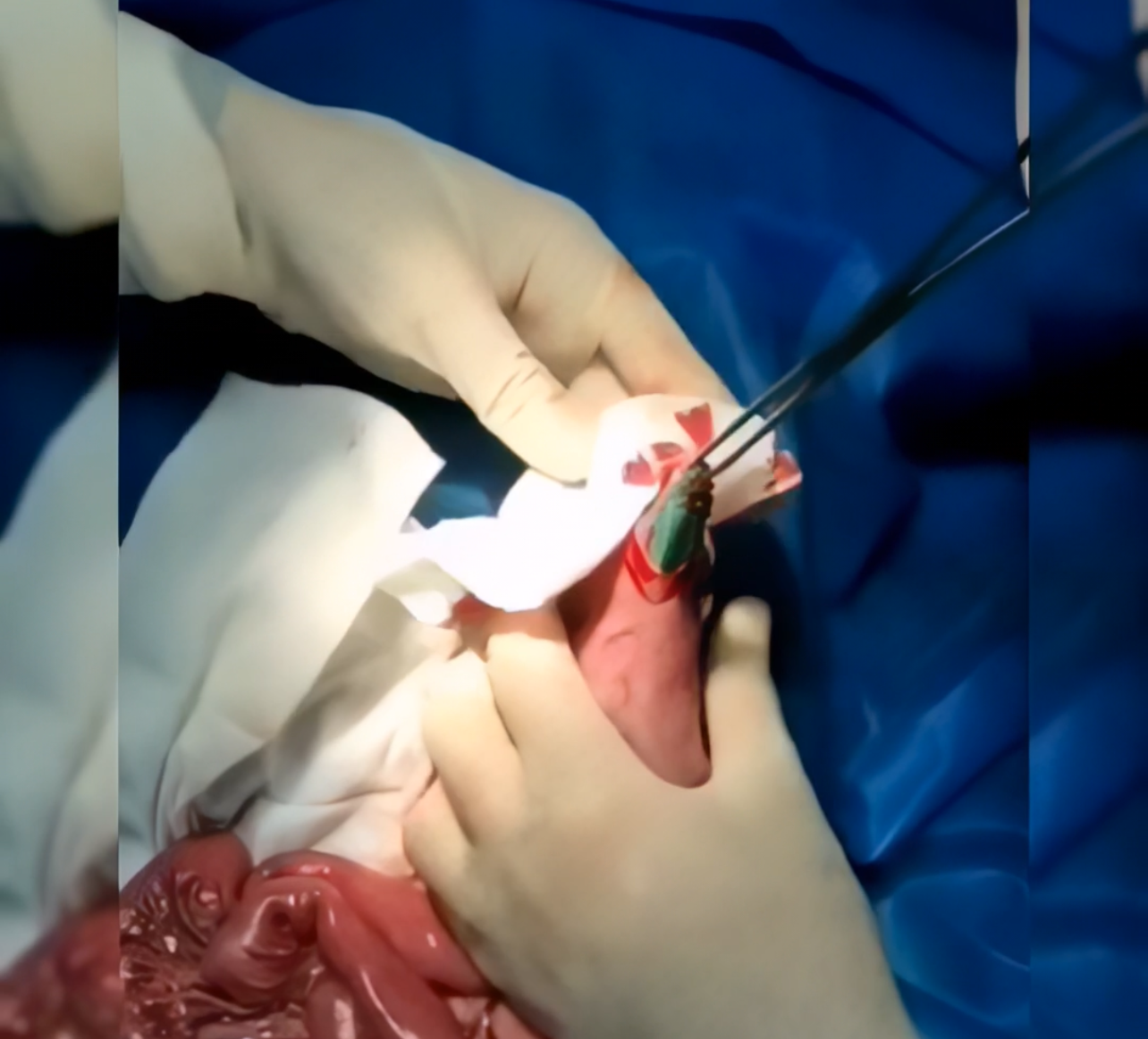 صورة المعرض