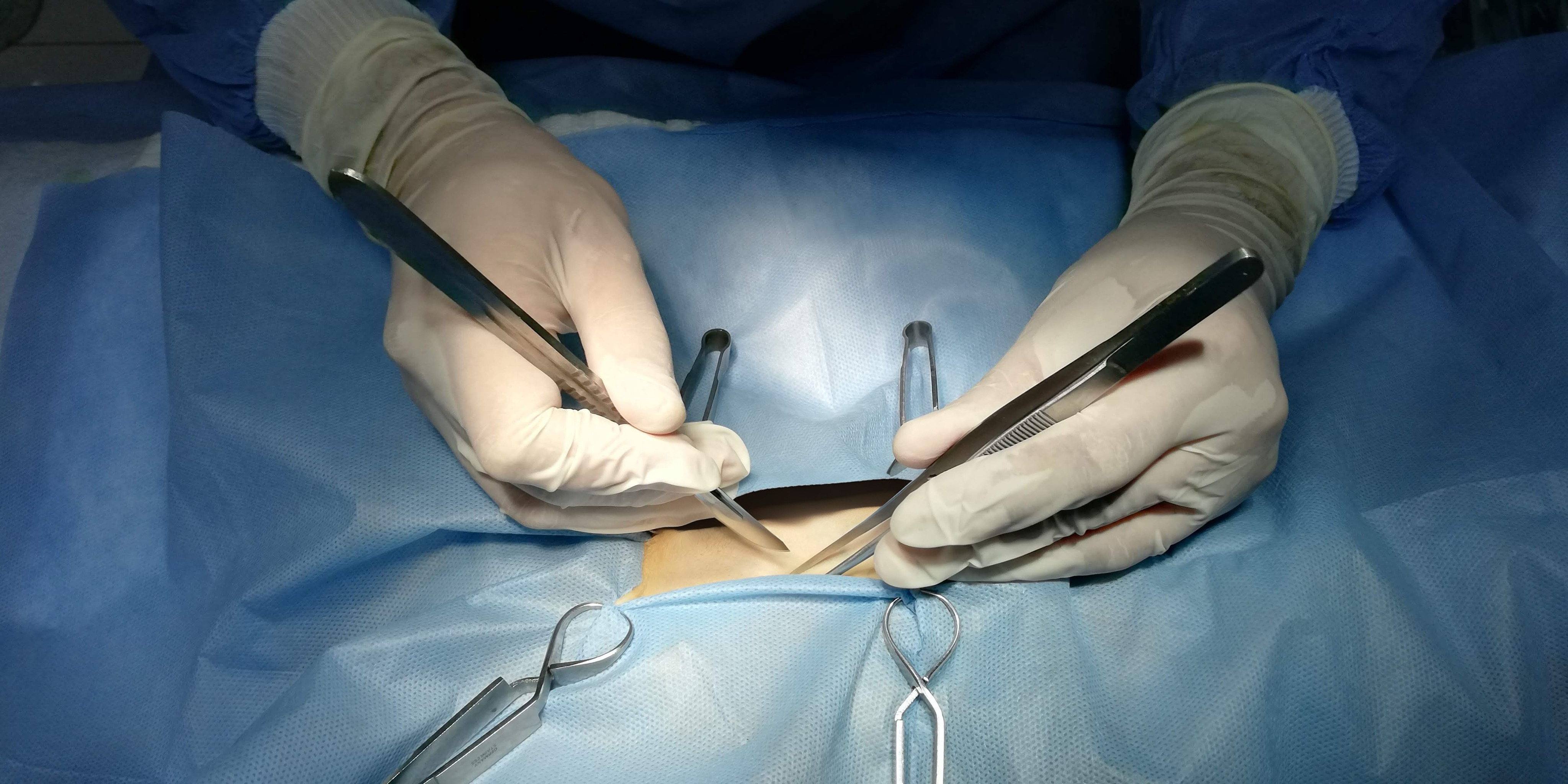 صورة المعرض