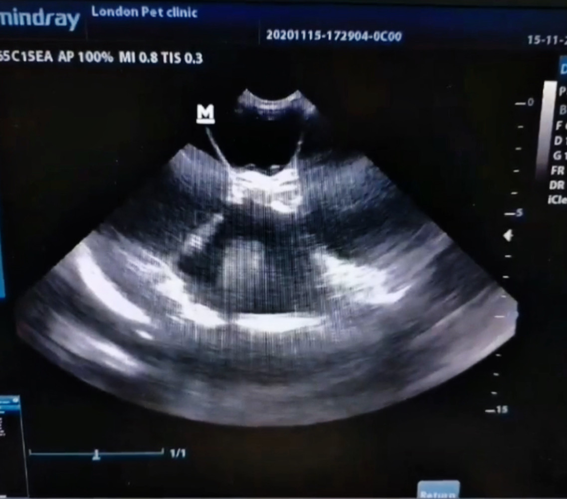 صورة المعرض