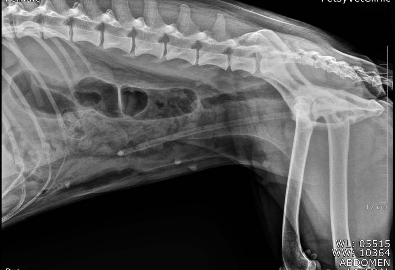 صورة المعرض