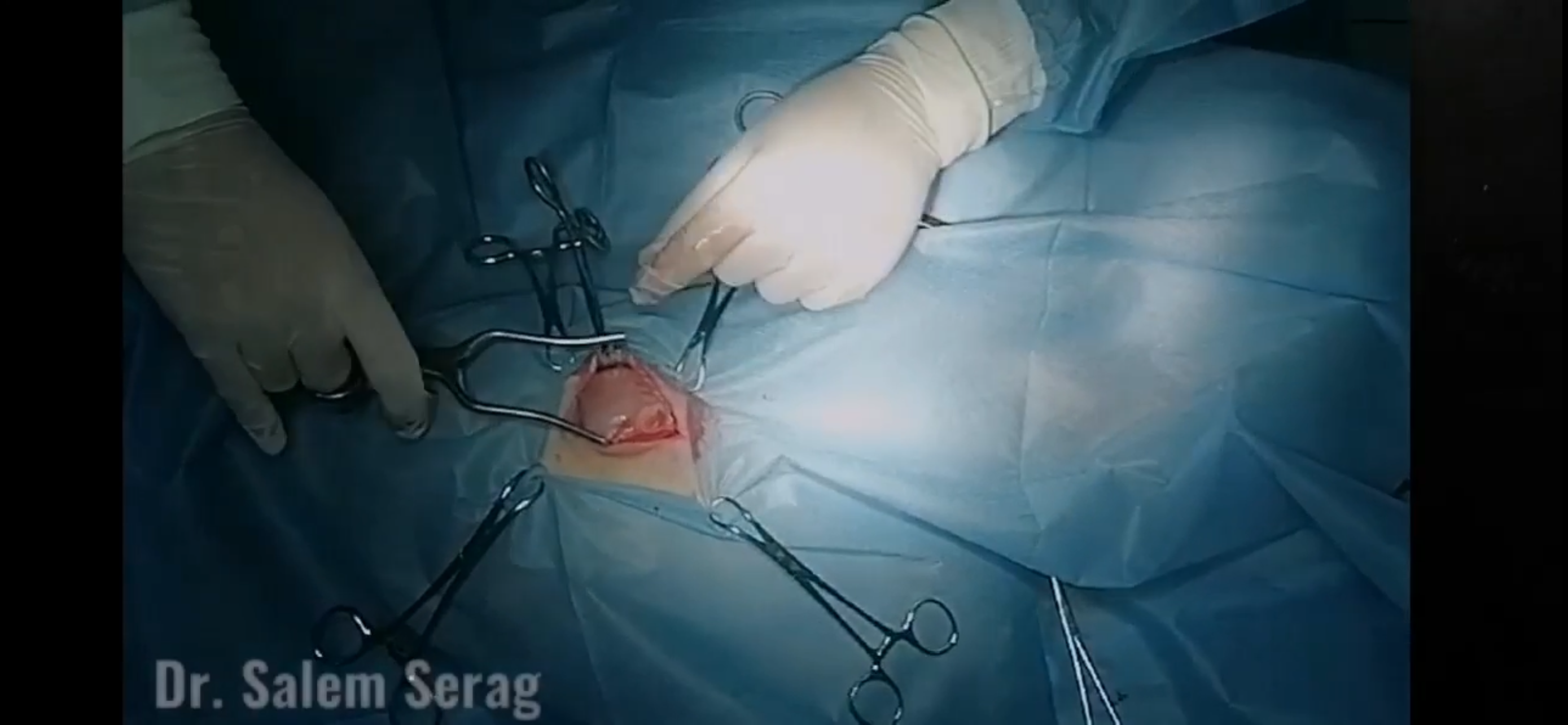 صورة المعرض