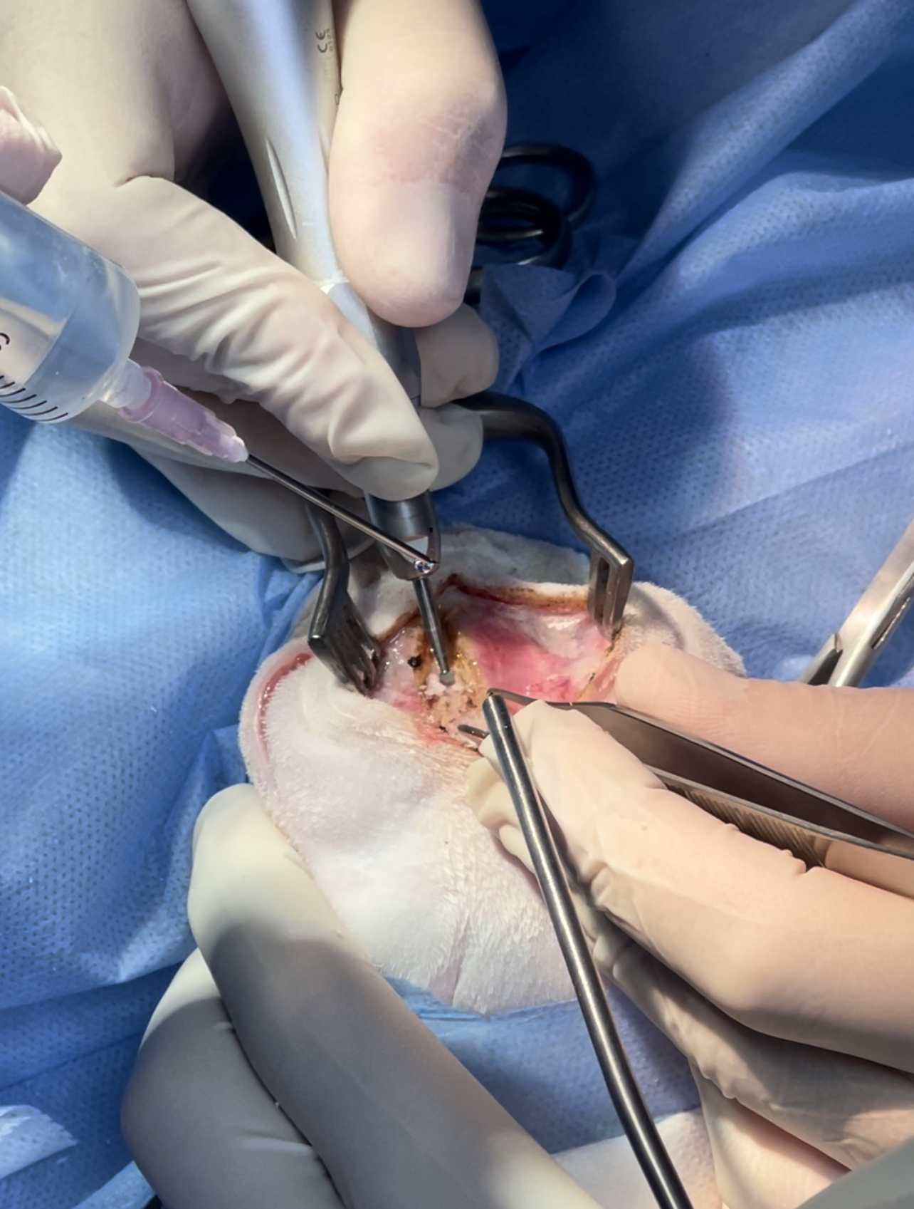 صورة المعرض