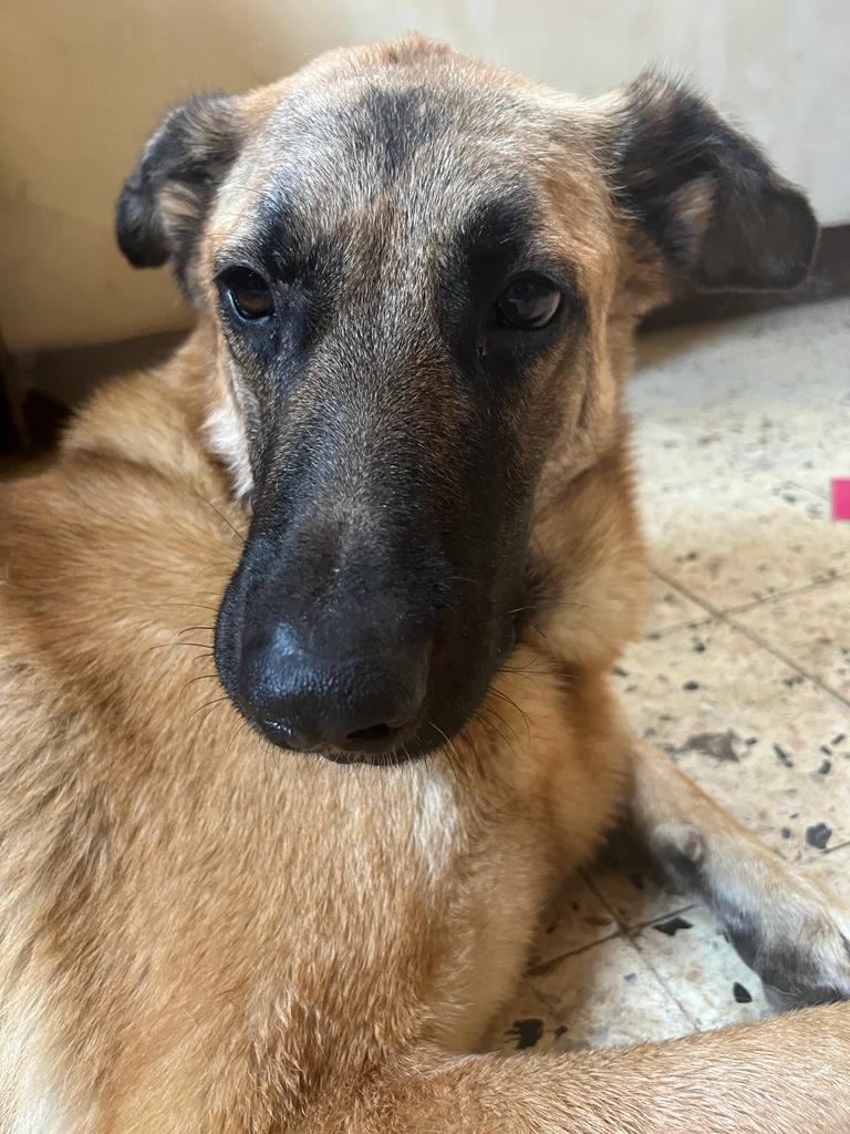 صورة المعرض