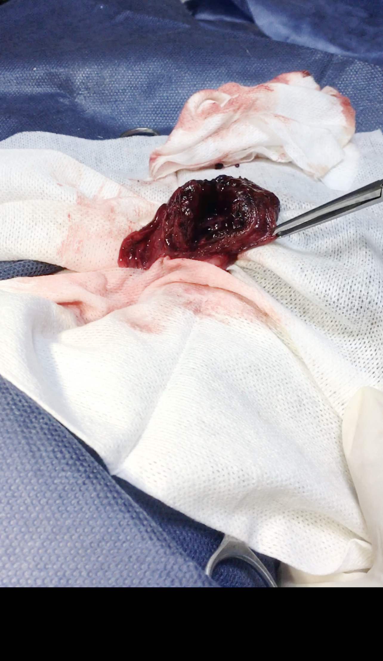 صورة المعرض