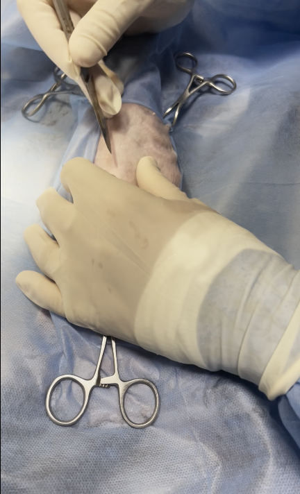 صورة المعرض