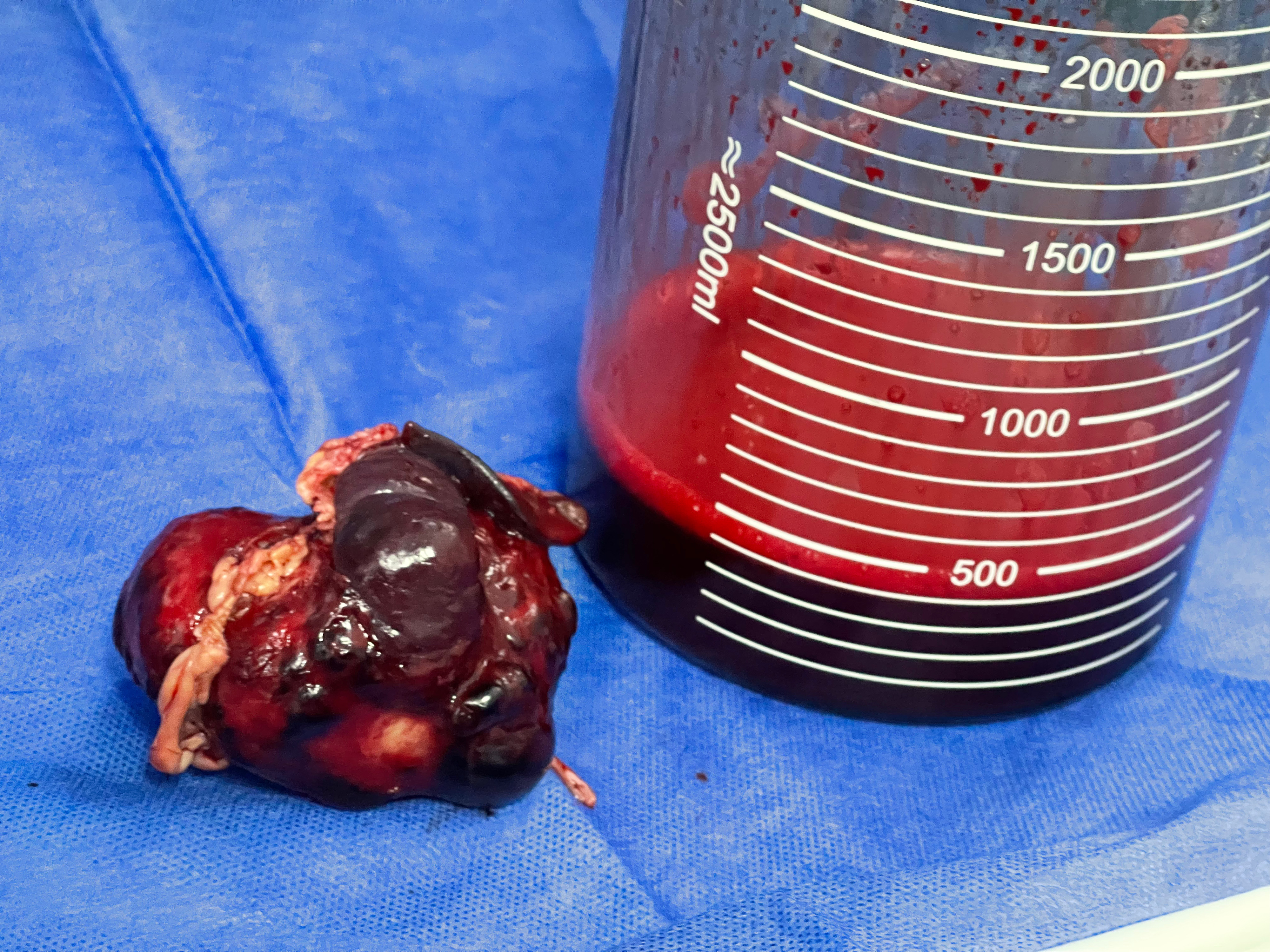 صورة المعرض