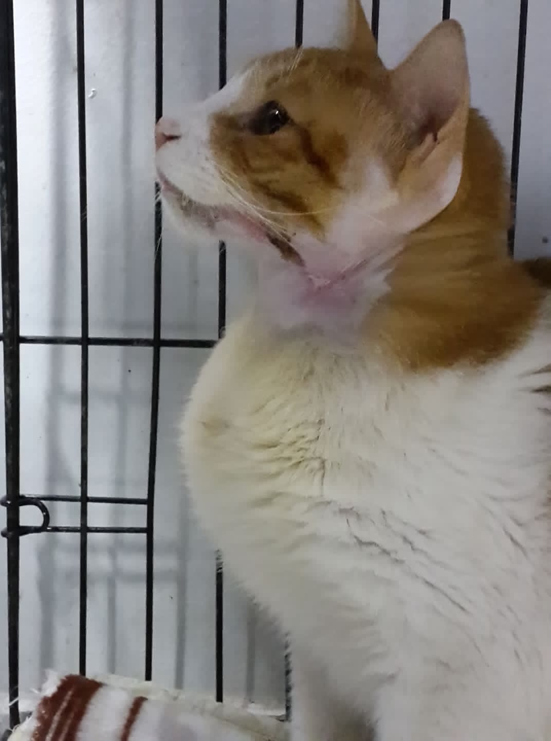 صورة المعرض