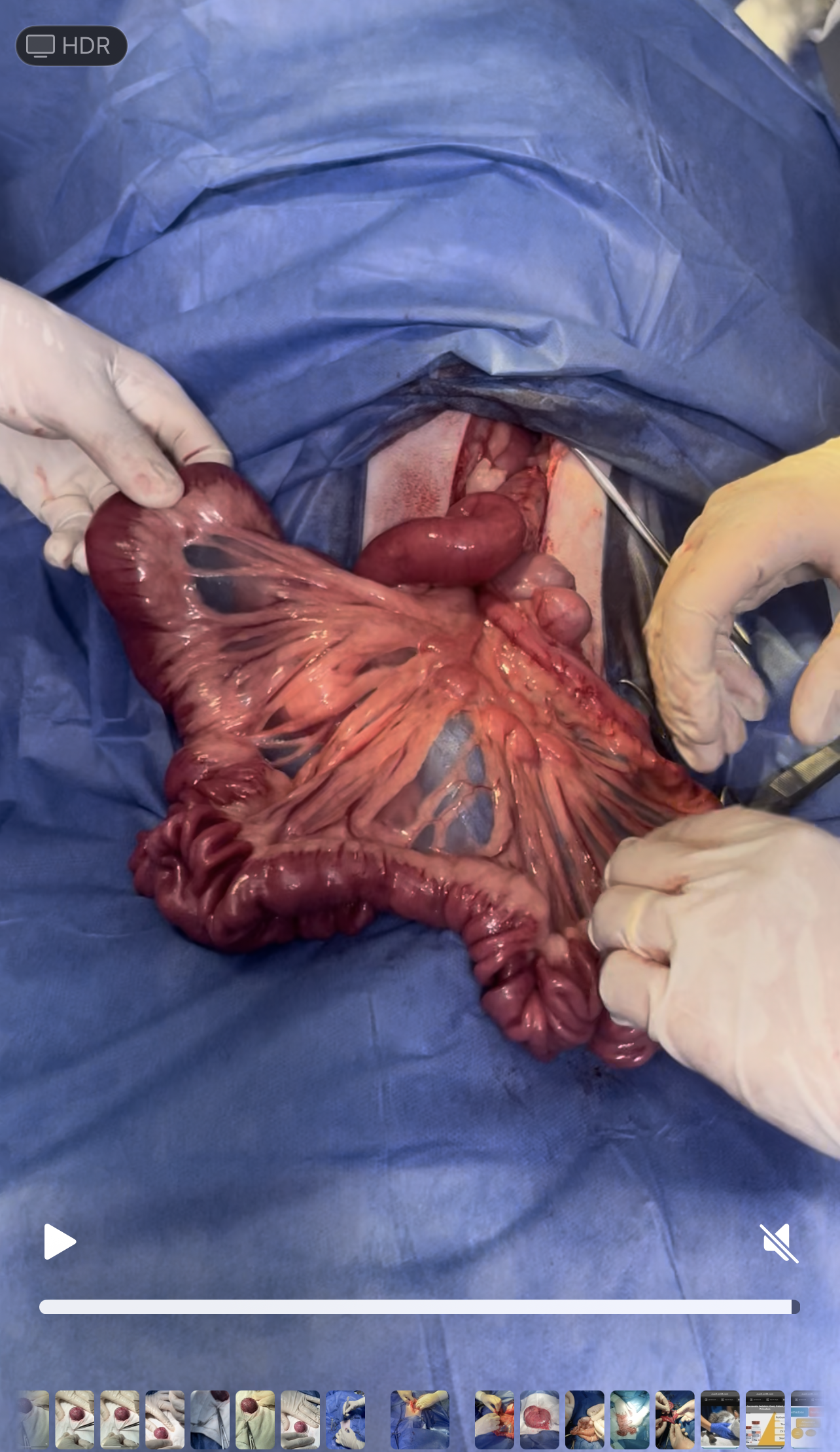 صورة المعرض